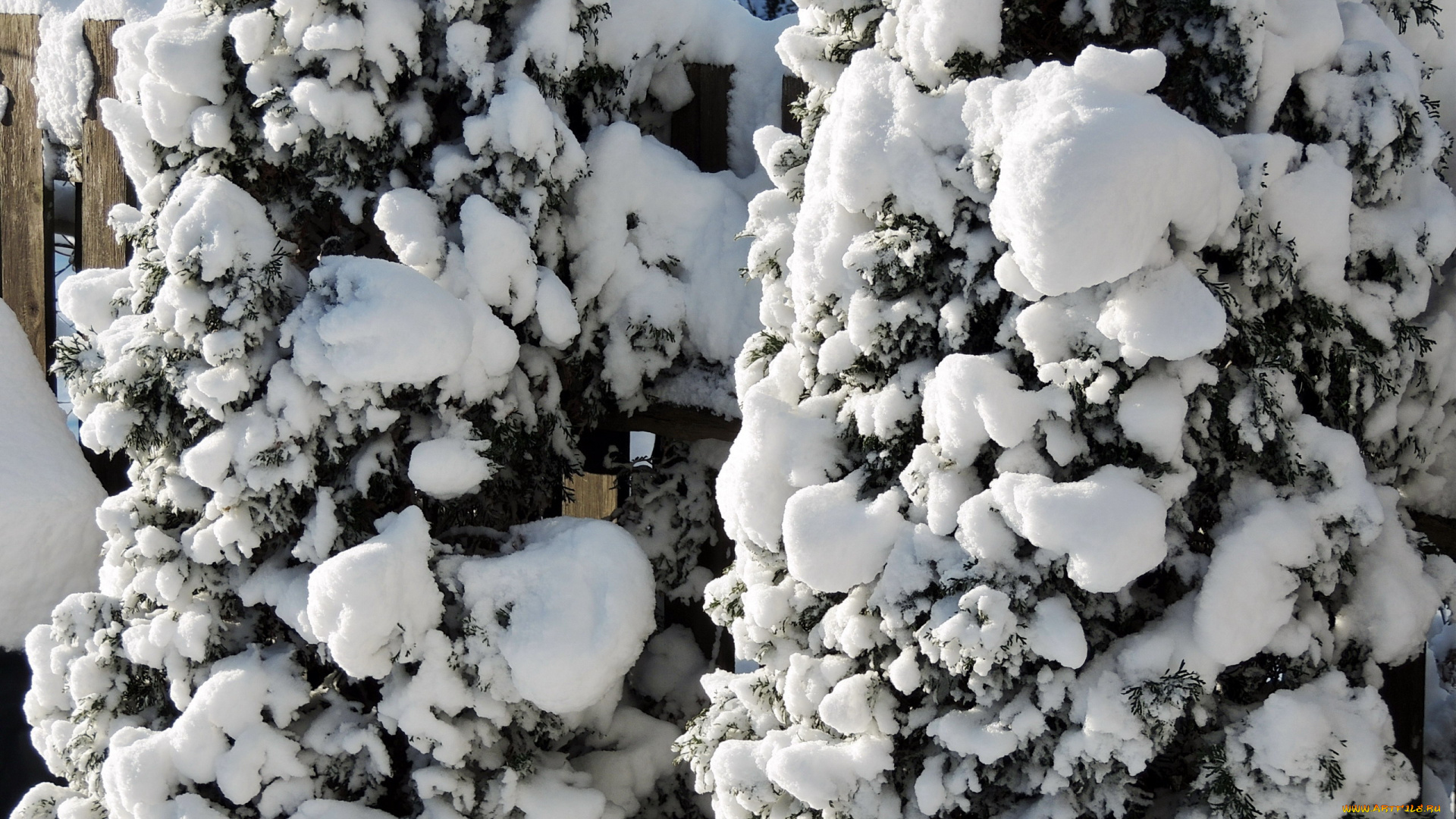 природа, зима, забор, снег, деревья