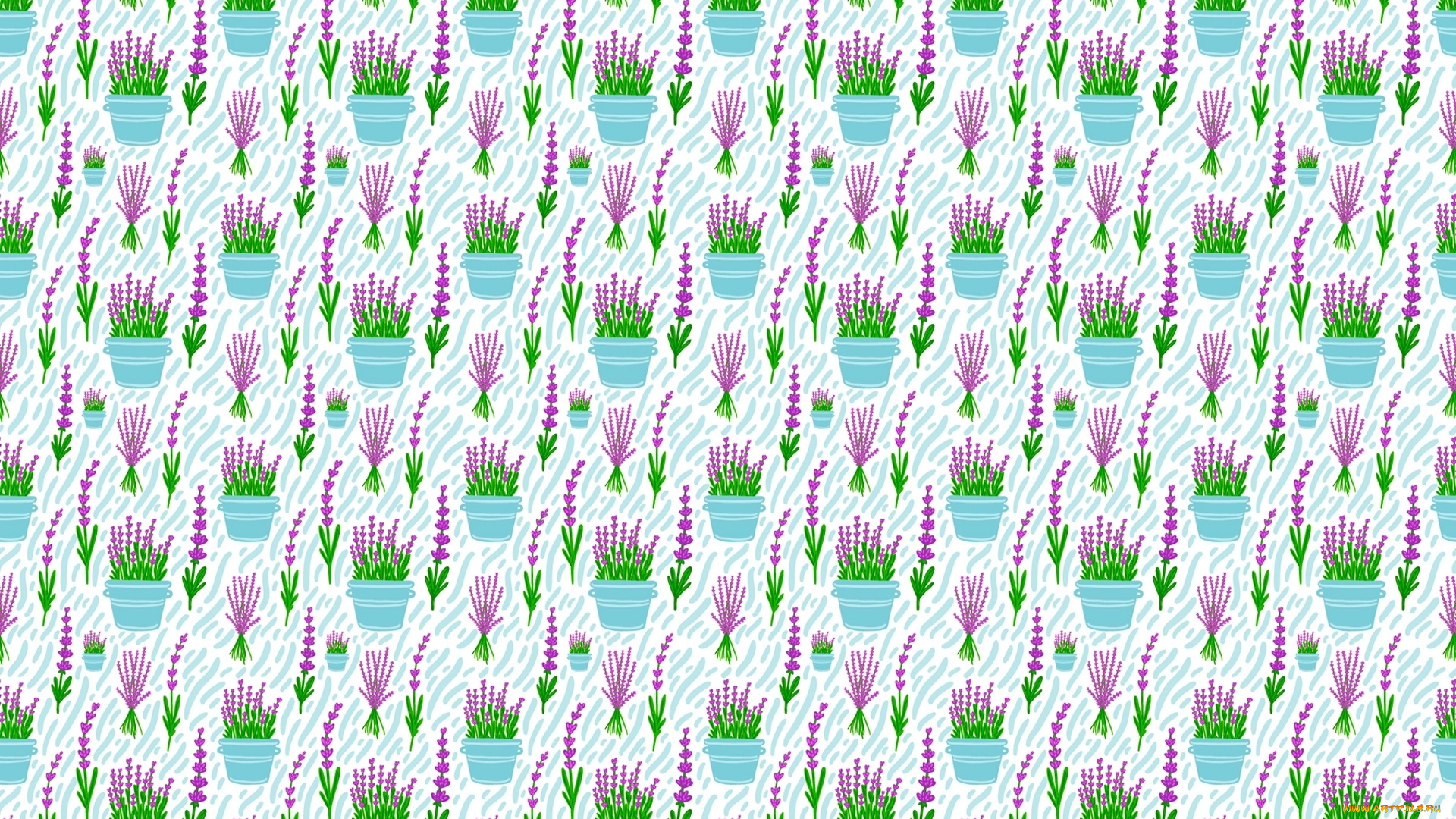 векторная, графика, цветы, , flowers, цвета, фон, узор