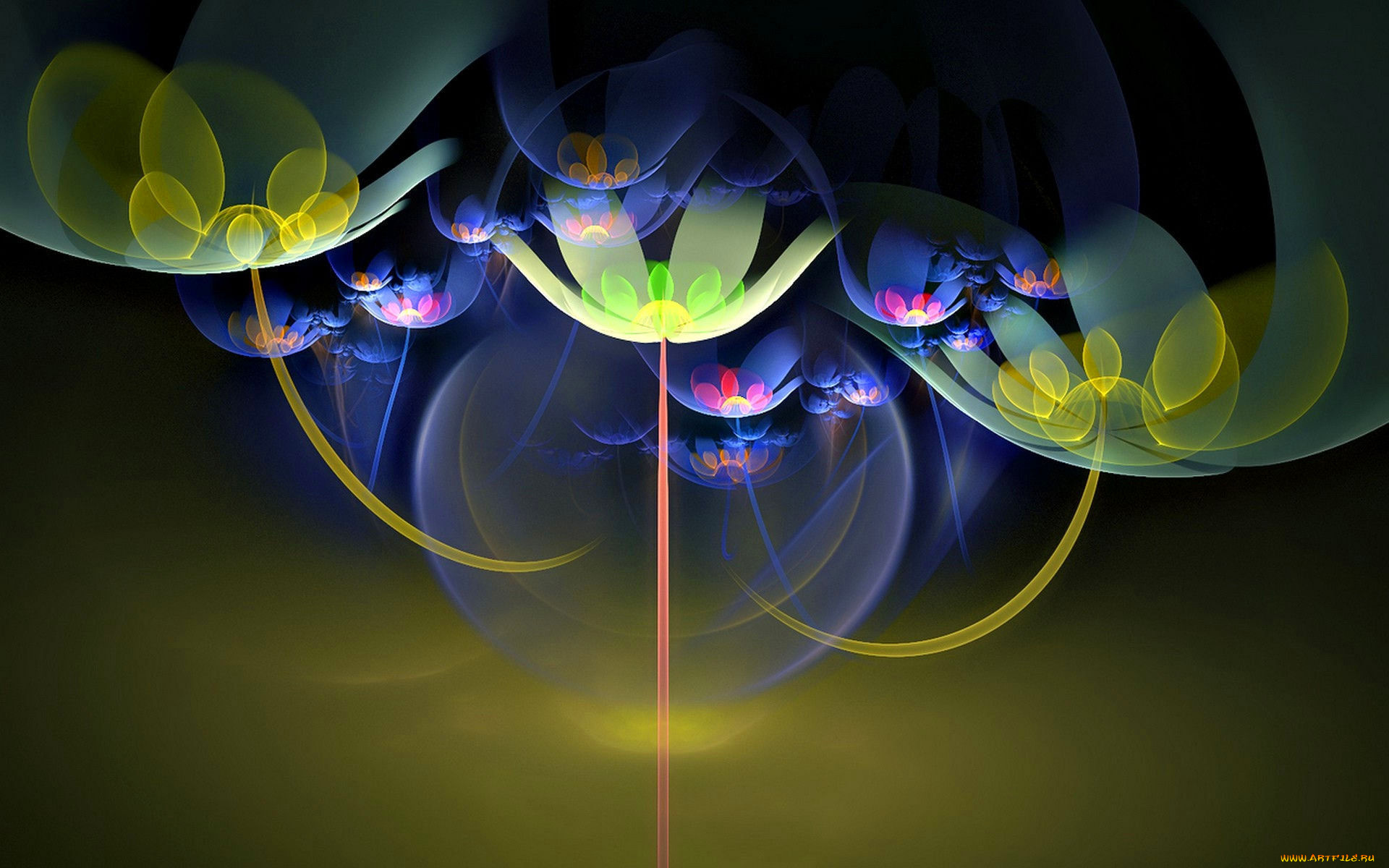 3д, графика, цветы, , flowers, сферы, цветы, линии