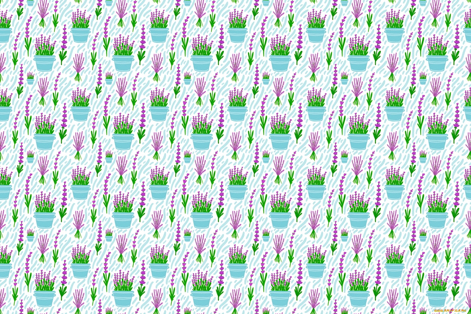 векторная, графика, цветы, , flowers, цвета, фон, узор