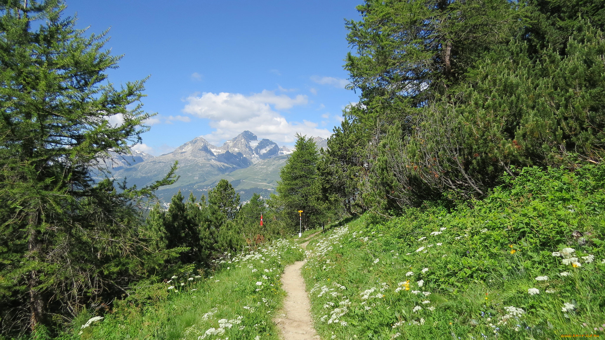 природа, пейзажи, лес, горы