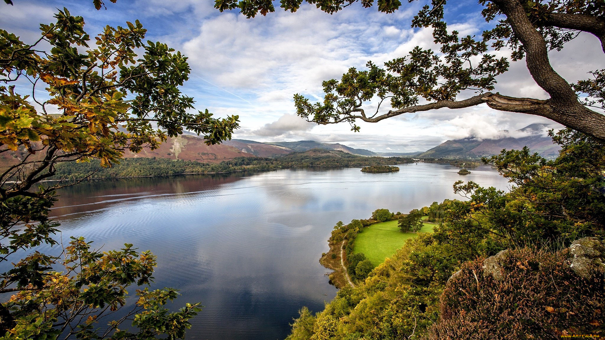 природа, реки, озера, деревья, река, горы