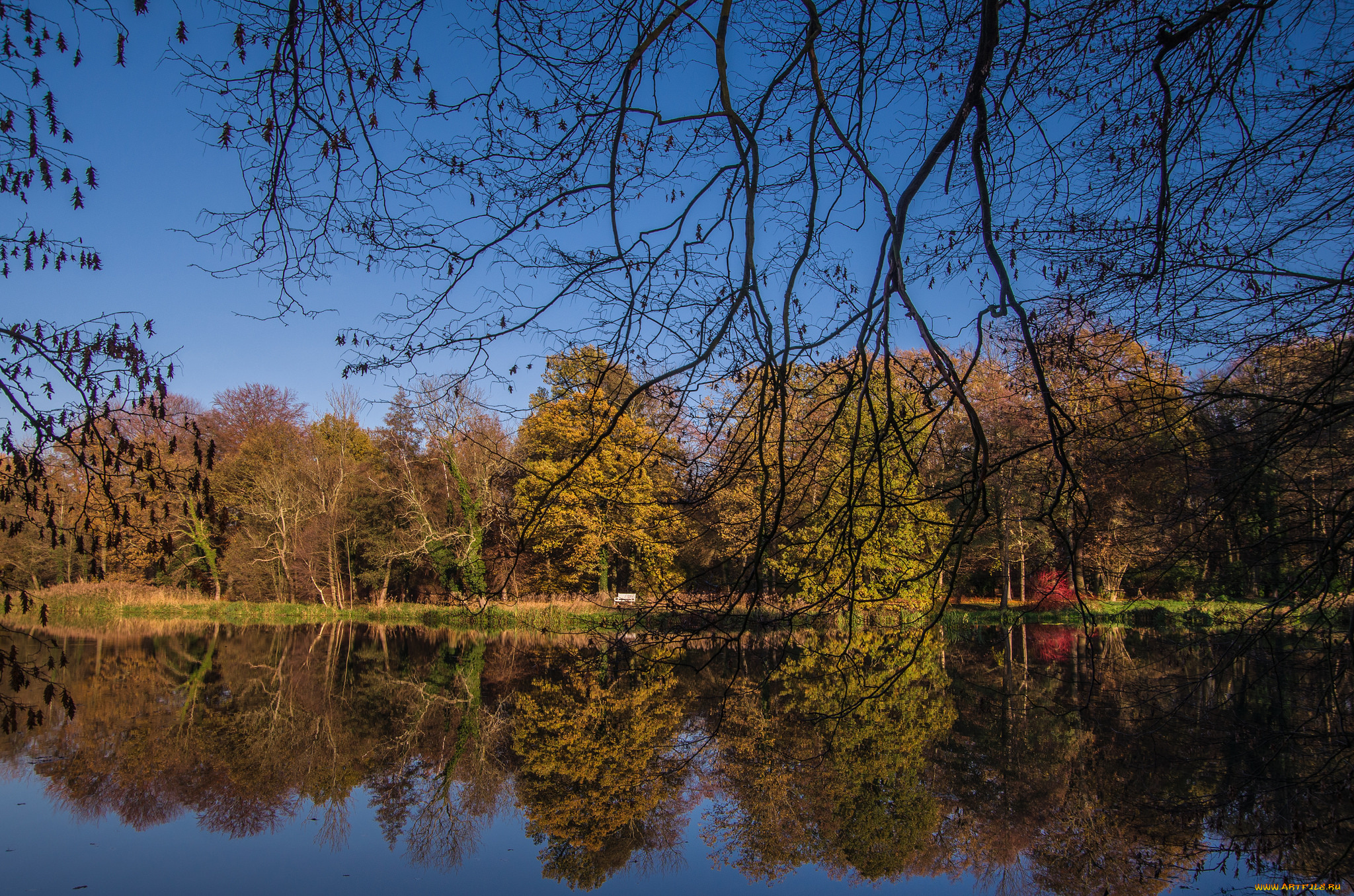 природа, реки, озера, река, лес