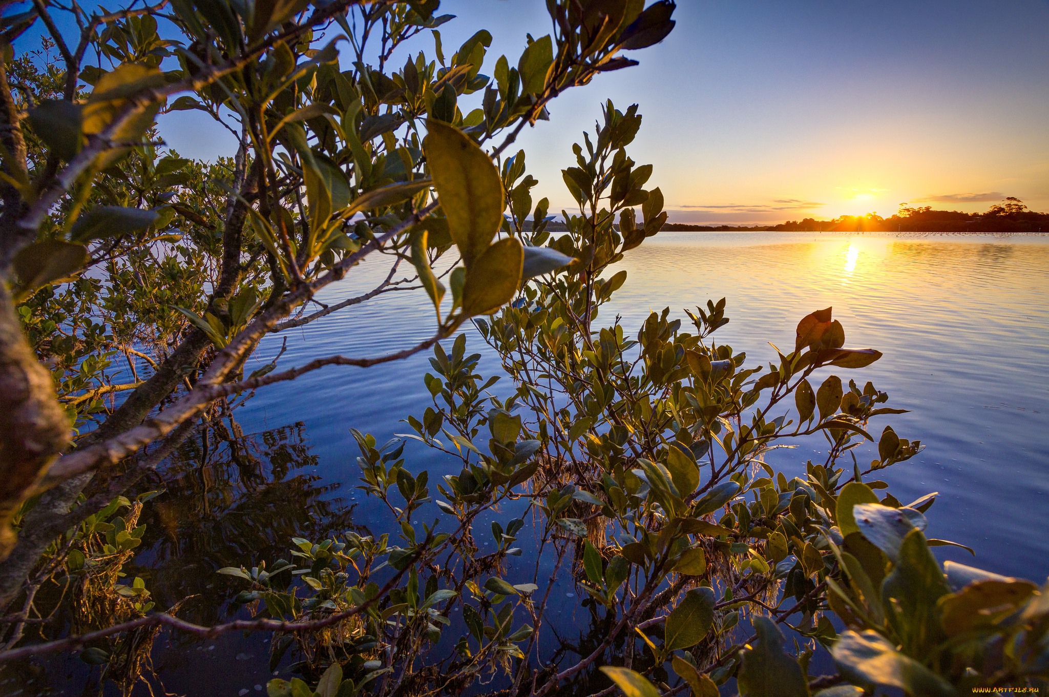 природа, восходы, закаты, простор