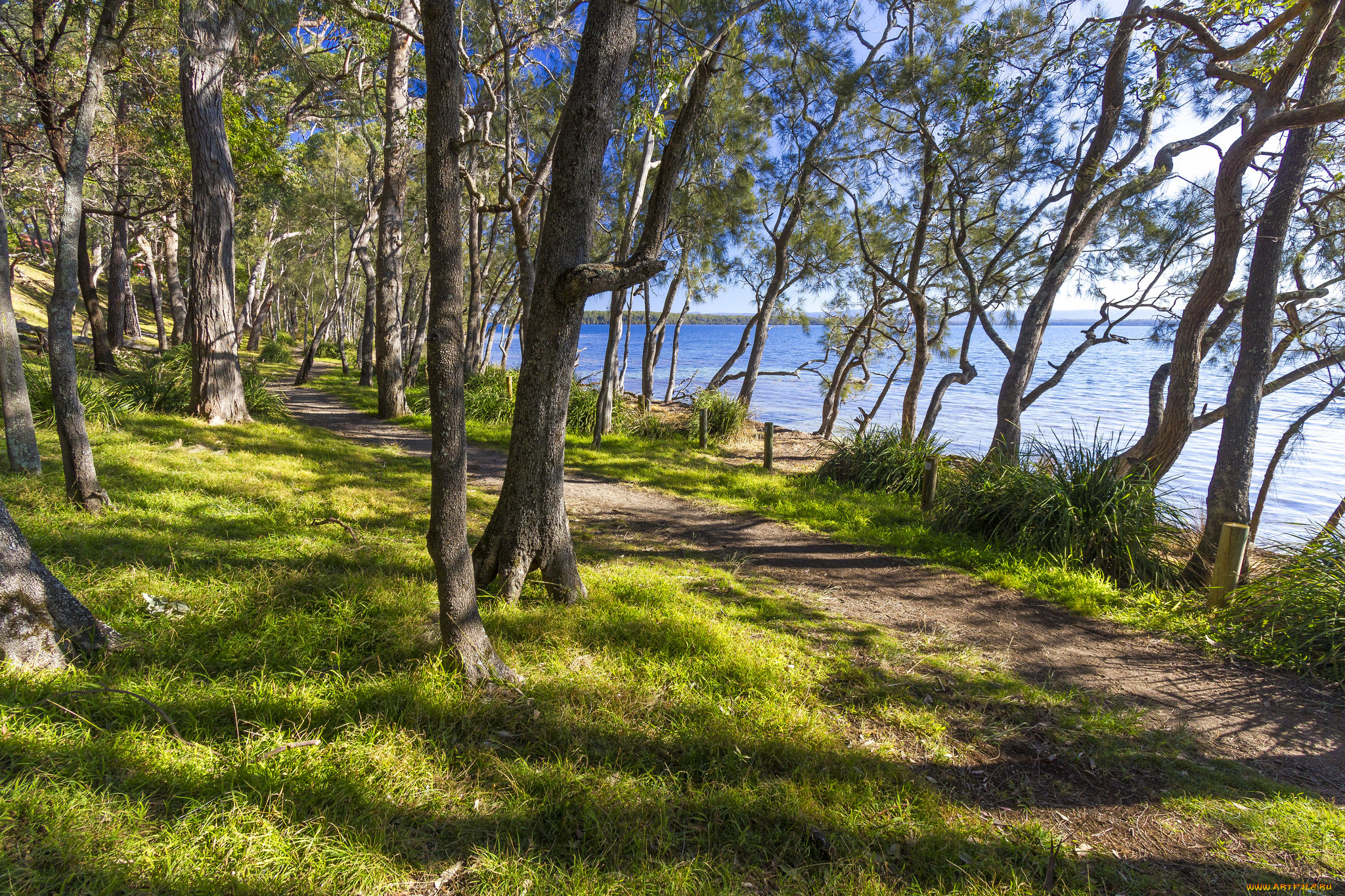 природа, дороги, простор