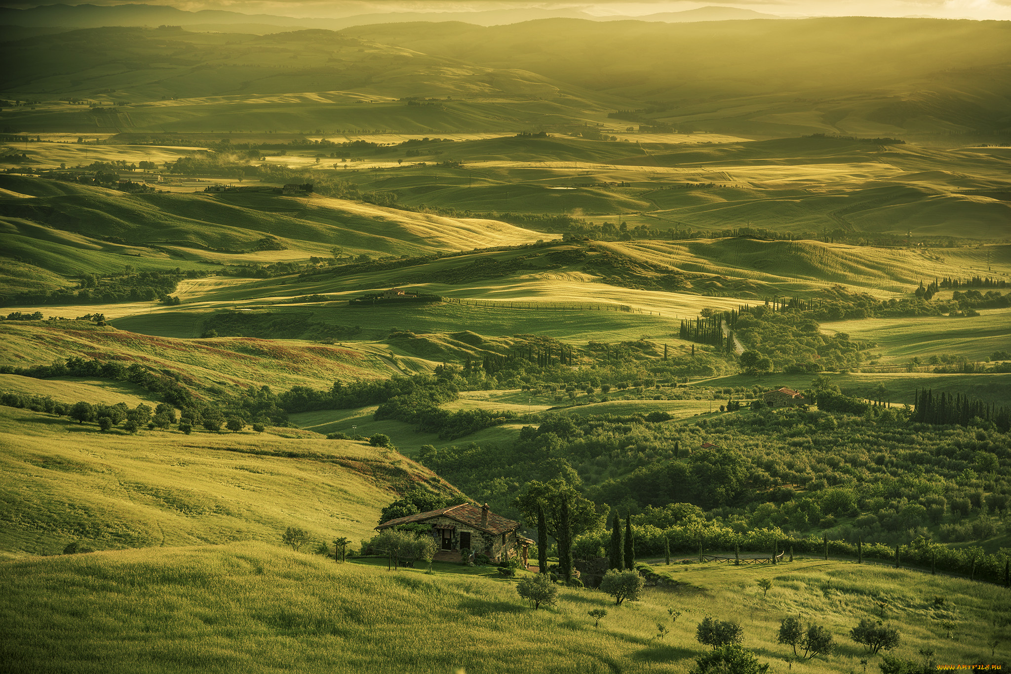 природа, пейзажи, поля, холмы, пейзаж, лето