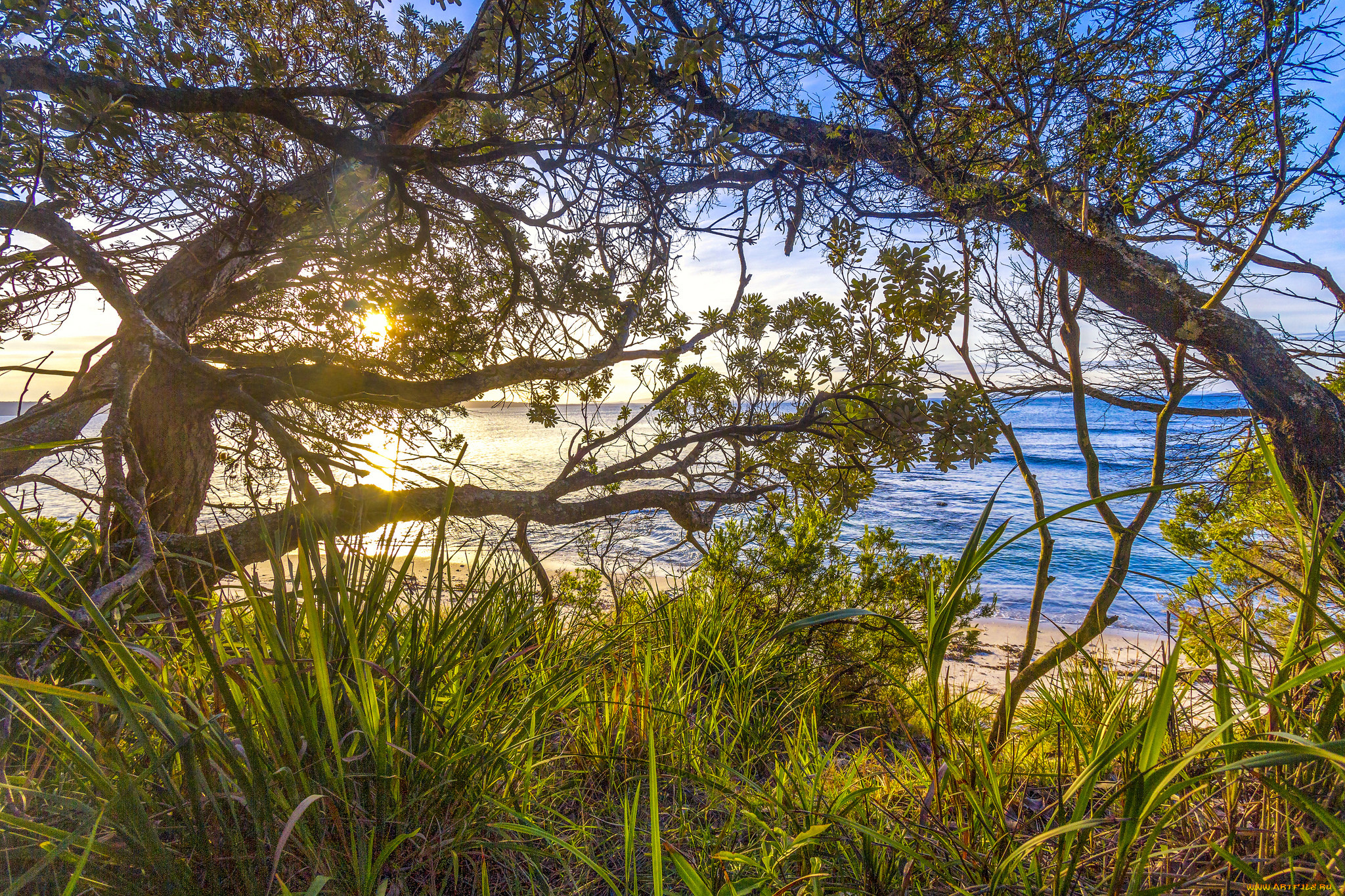 природа, пейзажи, простор