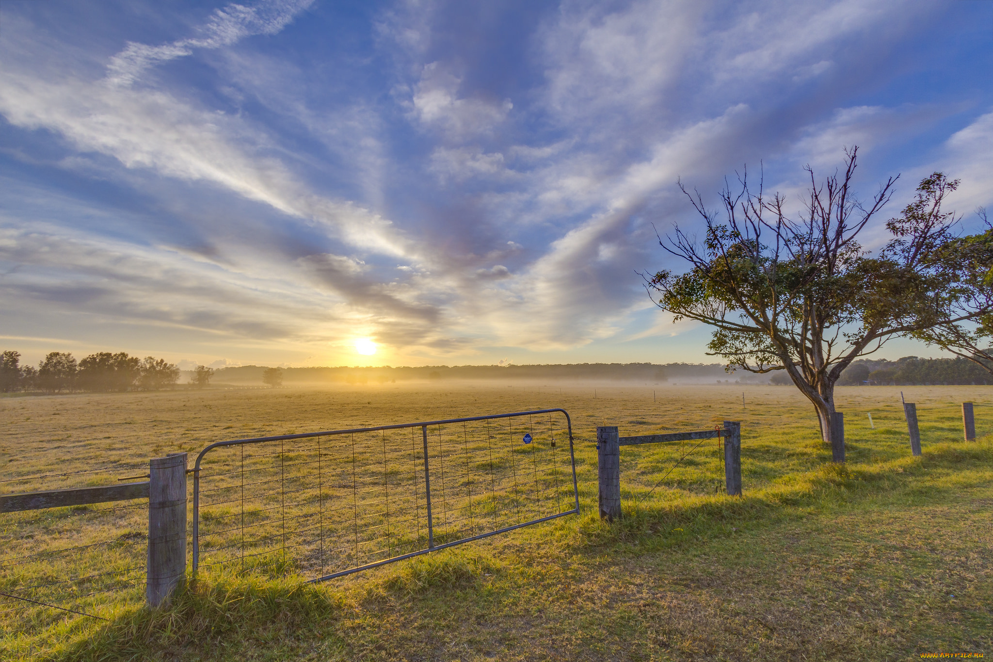 природа, пейзажи, простор