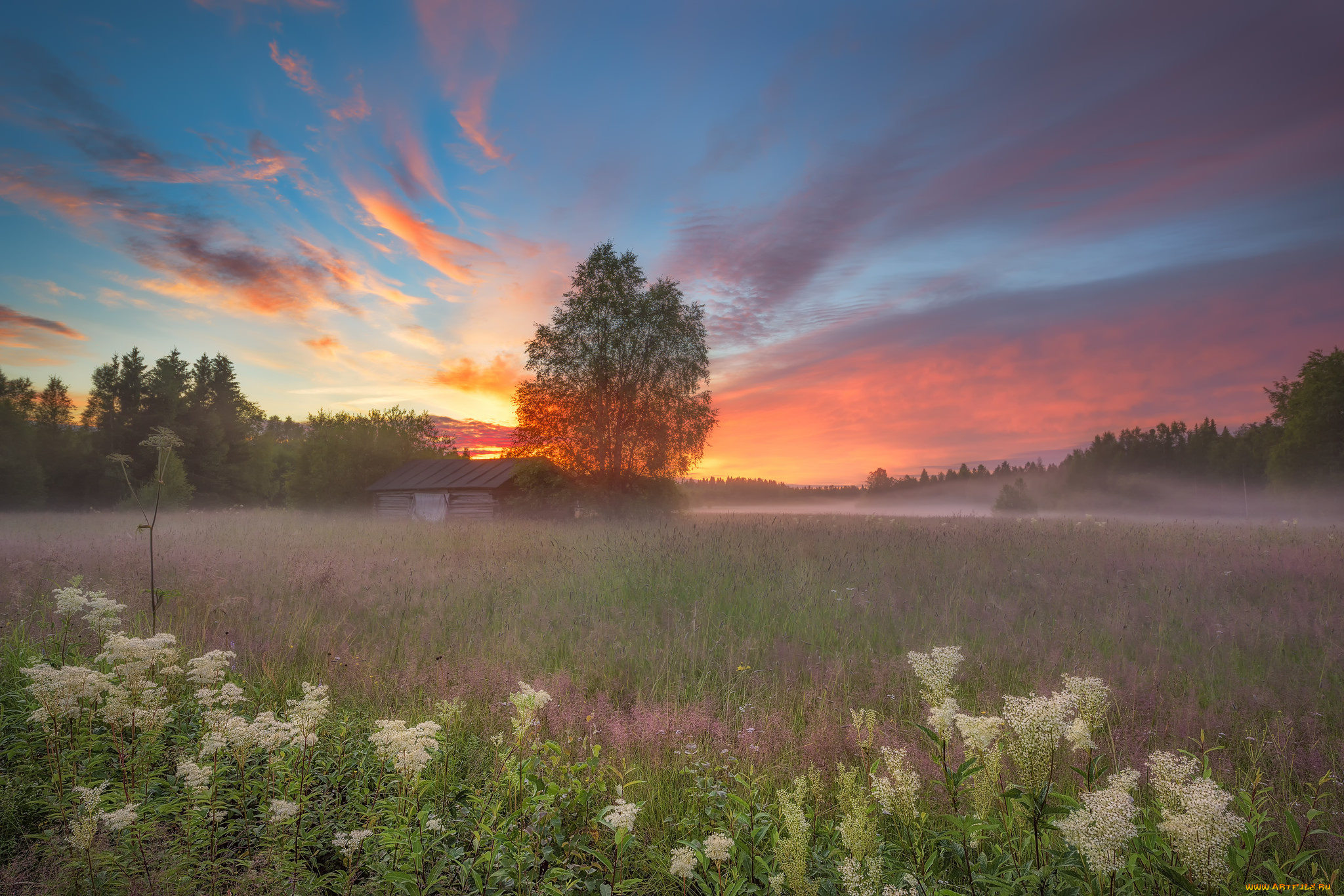 природа, восходы, закаты, луг, лес, туман, закат