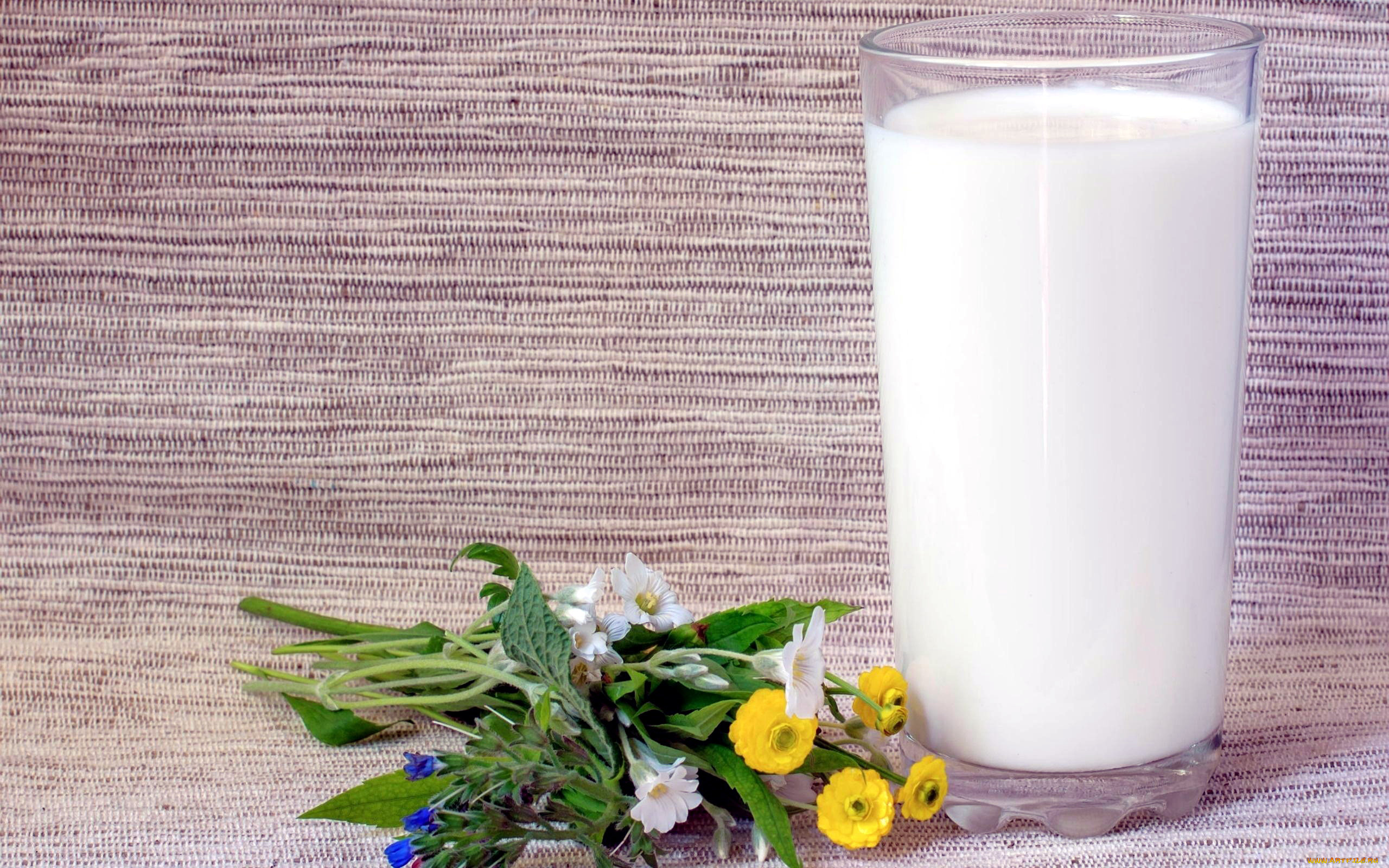 еда, масло, , молочные, продукты, стакан, молоко, букет