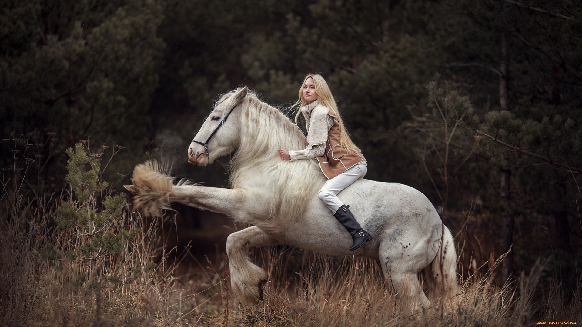 девушки, -unsort, , блондинки, , светловолосые, девушка, блондинка, наездница, лошадь