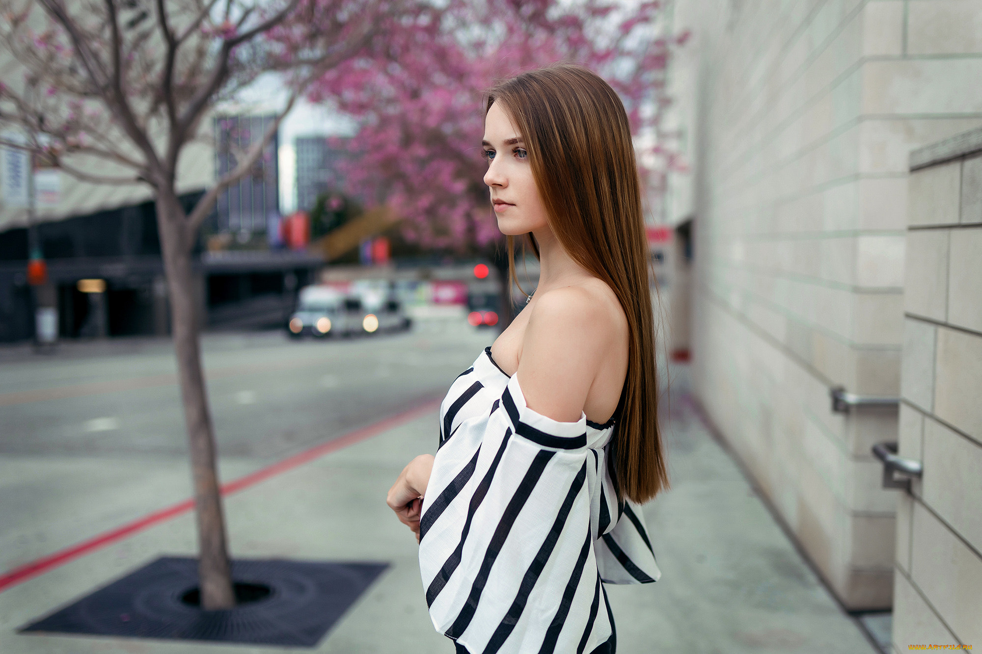 девушка, девушки, -unsort, , брюнетки, темноволосые, модель