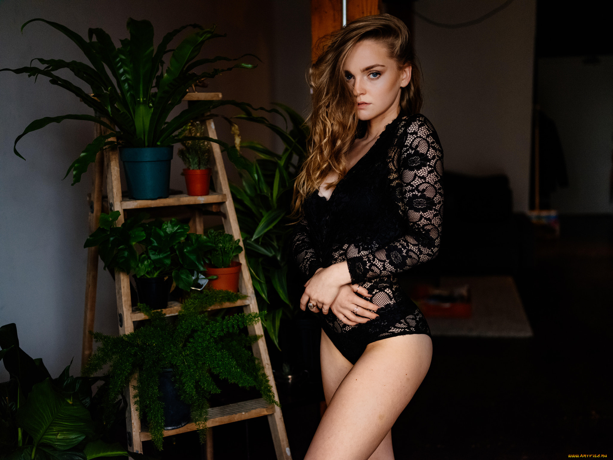 девушка, девушки, -unsort, , блондинки, , светловолосые, модель