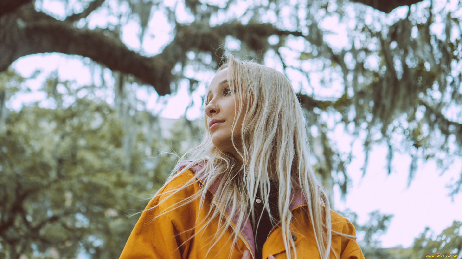 девушка, девушки, -unsort, , блондинки, , светловолосые, модель