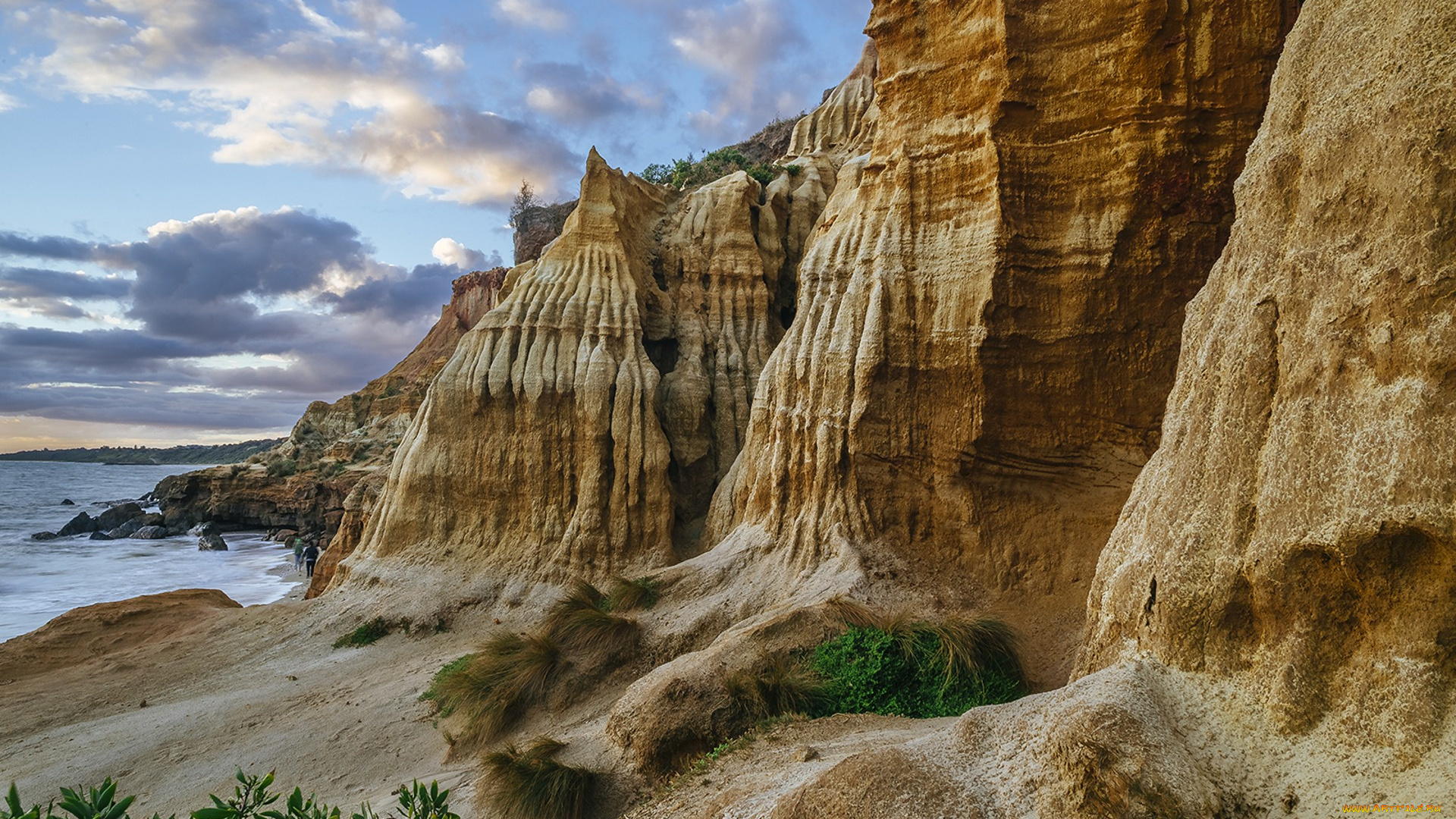 природа, побережье, простор