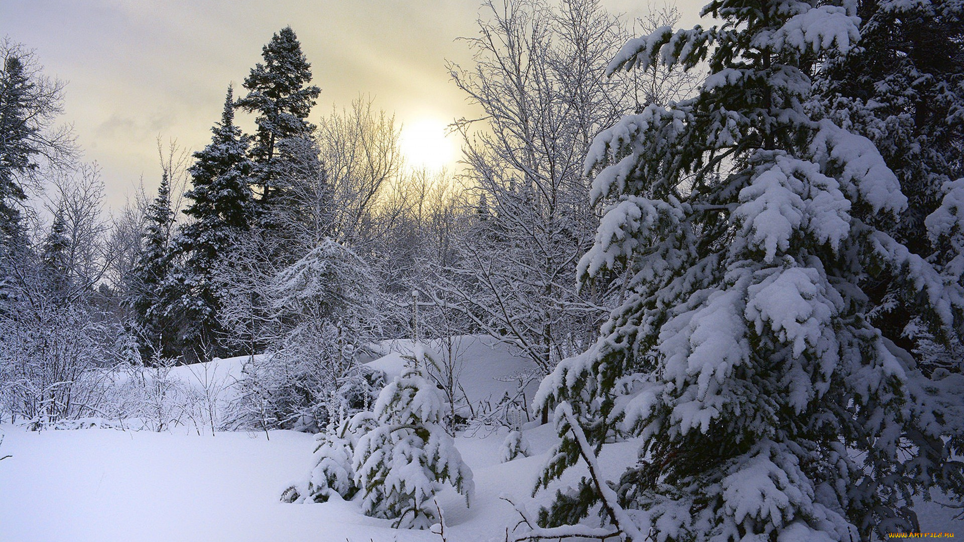 природа, зима, простор