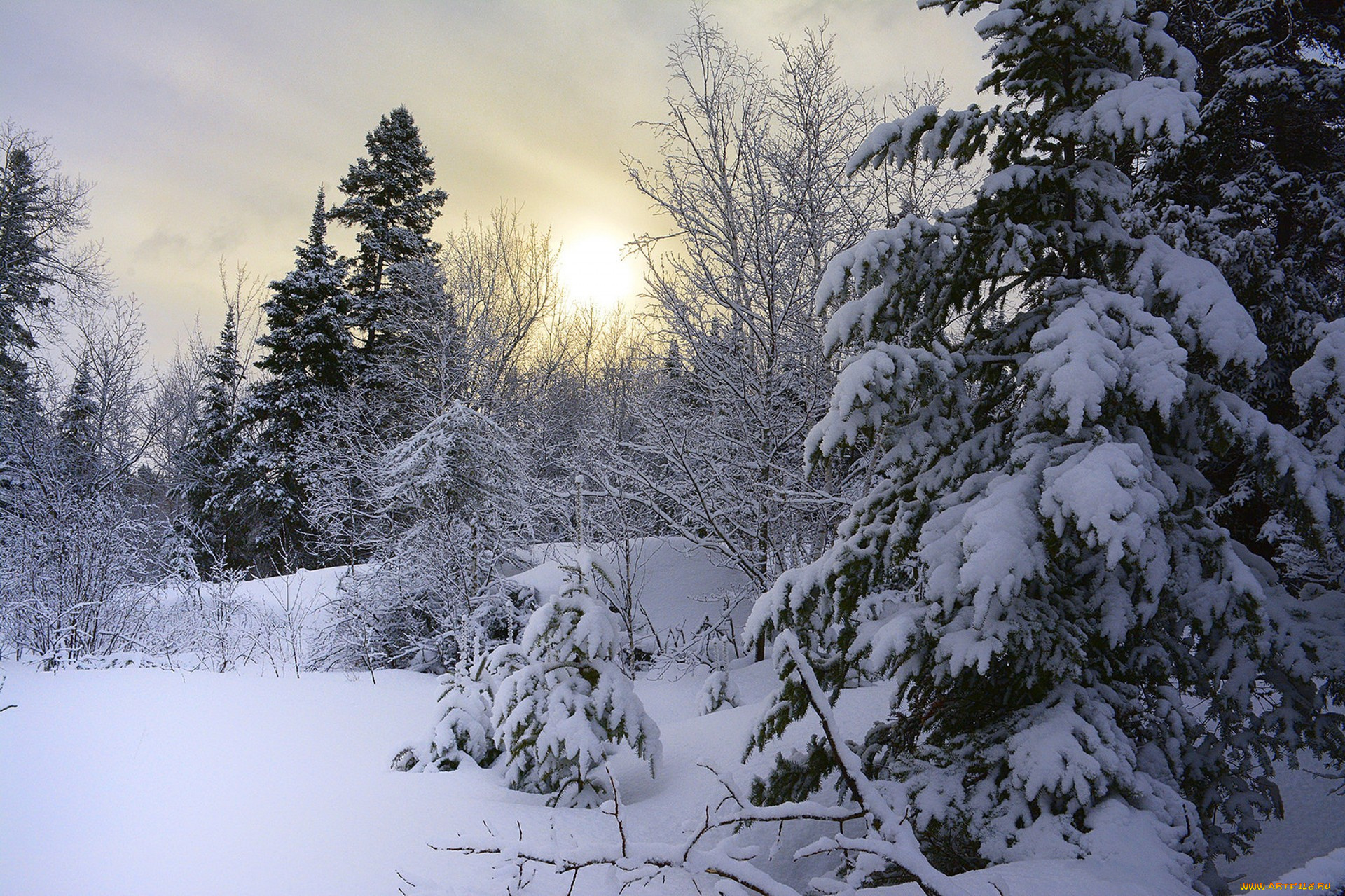 природа, зима, простор