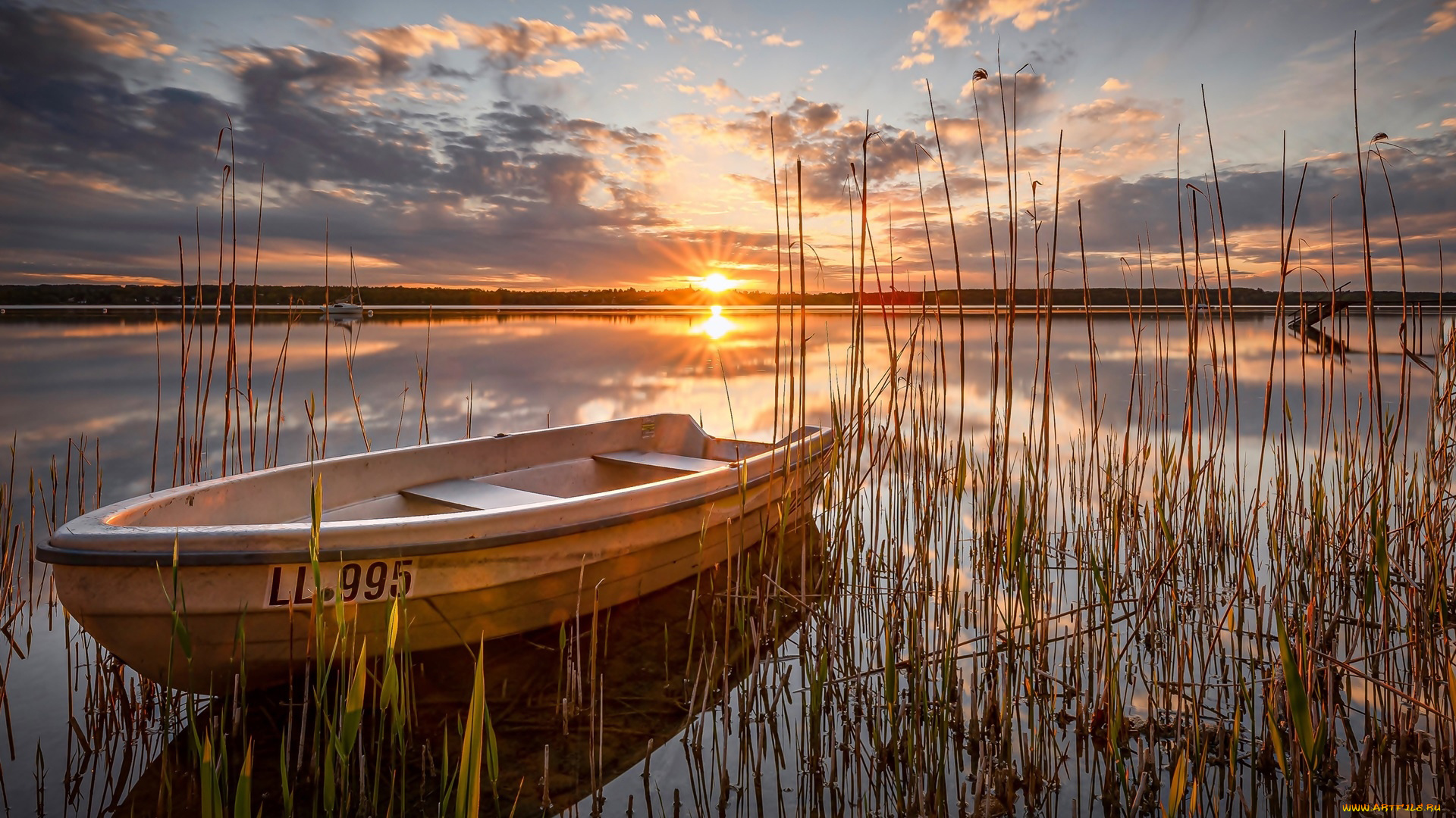 корабли, лодки, , шлюпки, закат, лодка, камыши