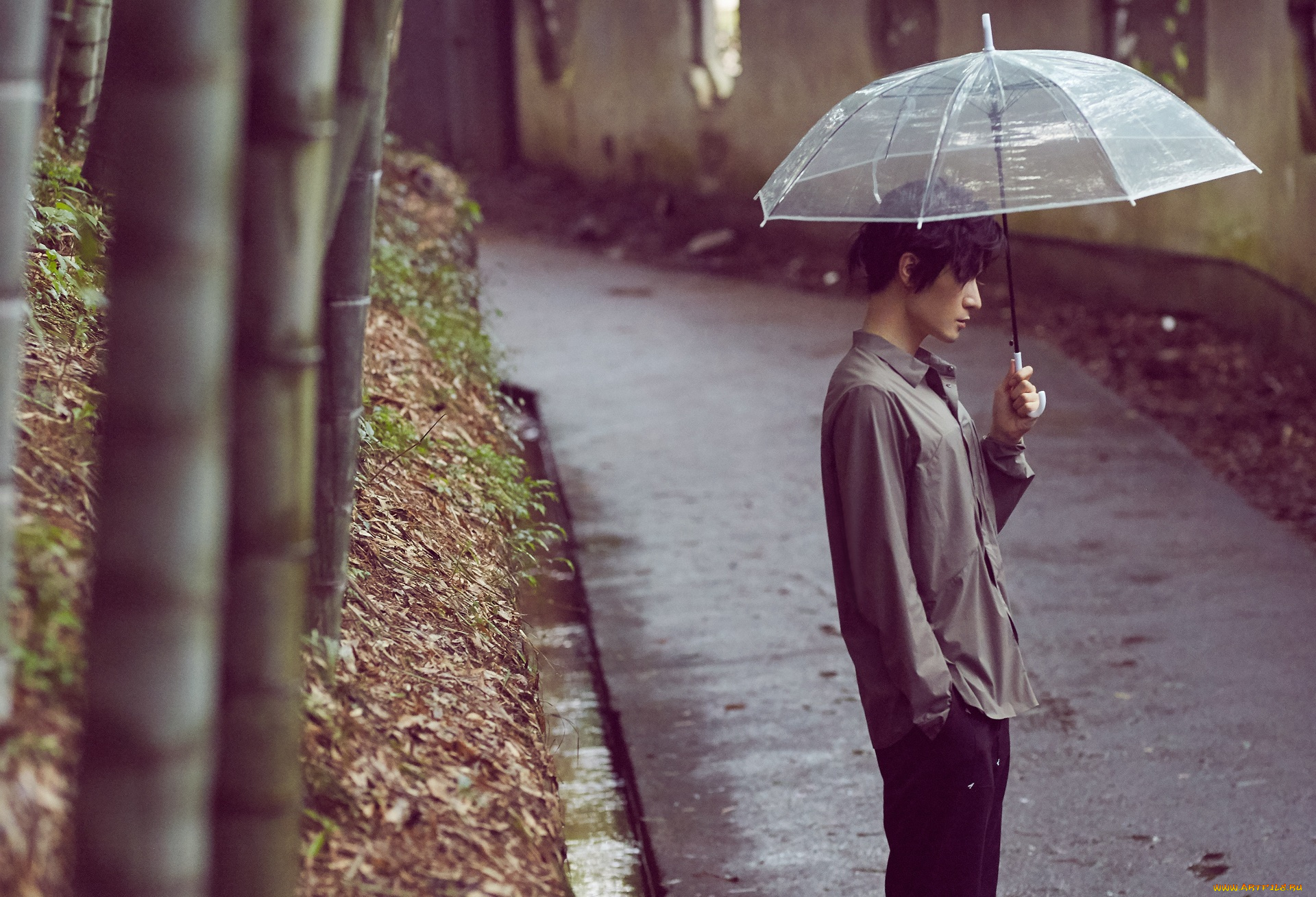 мужчины, liu, haikuan, лю, хайкуань, liu, haikuan