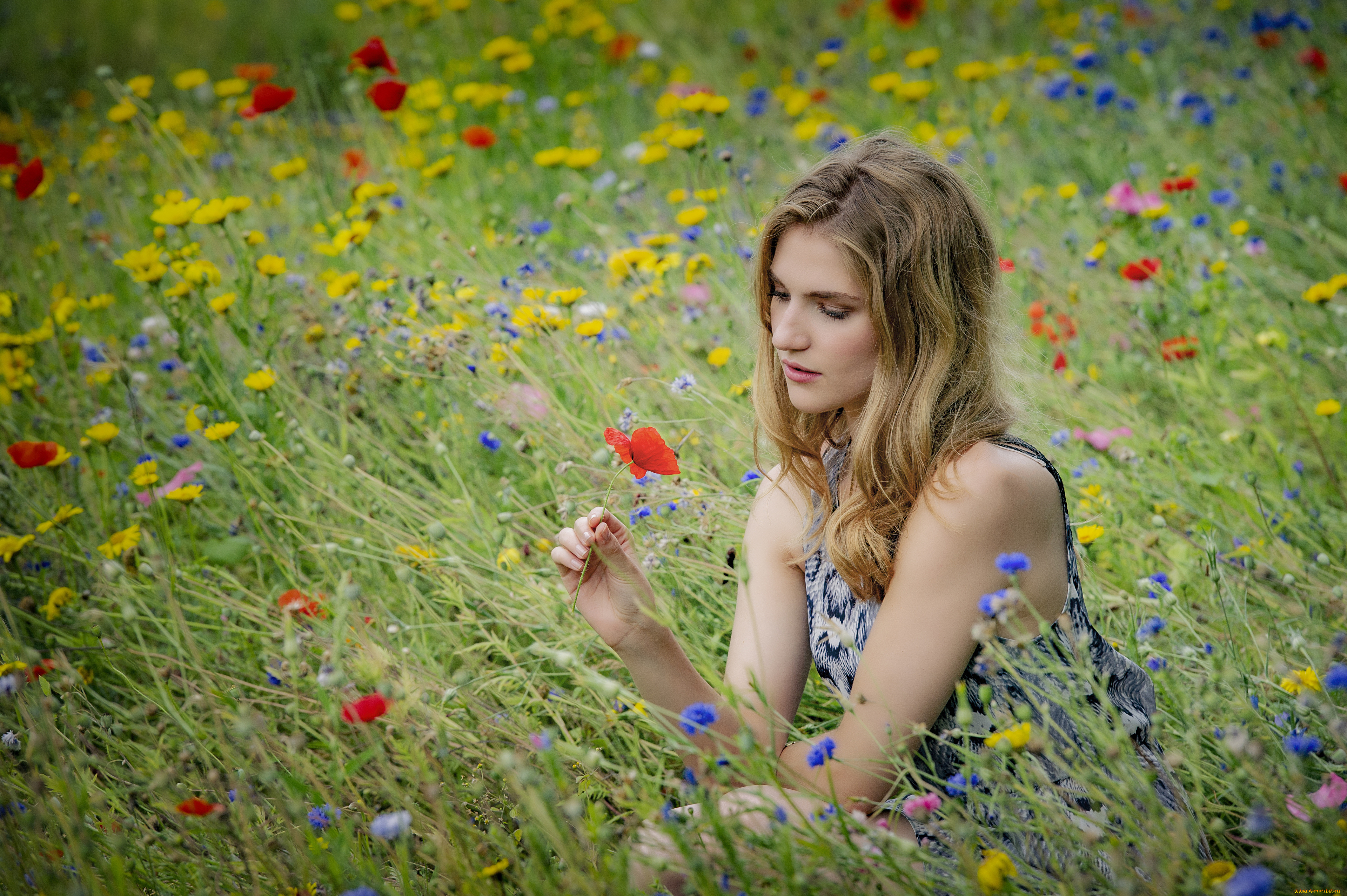 девушки, -, блондинки, , светловолосые, девушка, красивая, супер, секси, няша, нежная, классная, модница, лапочка, мадам