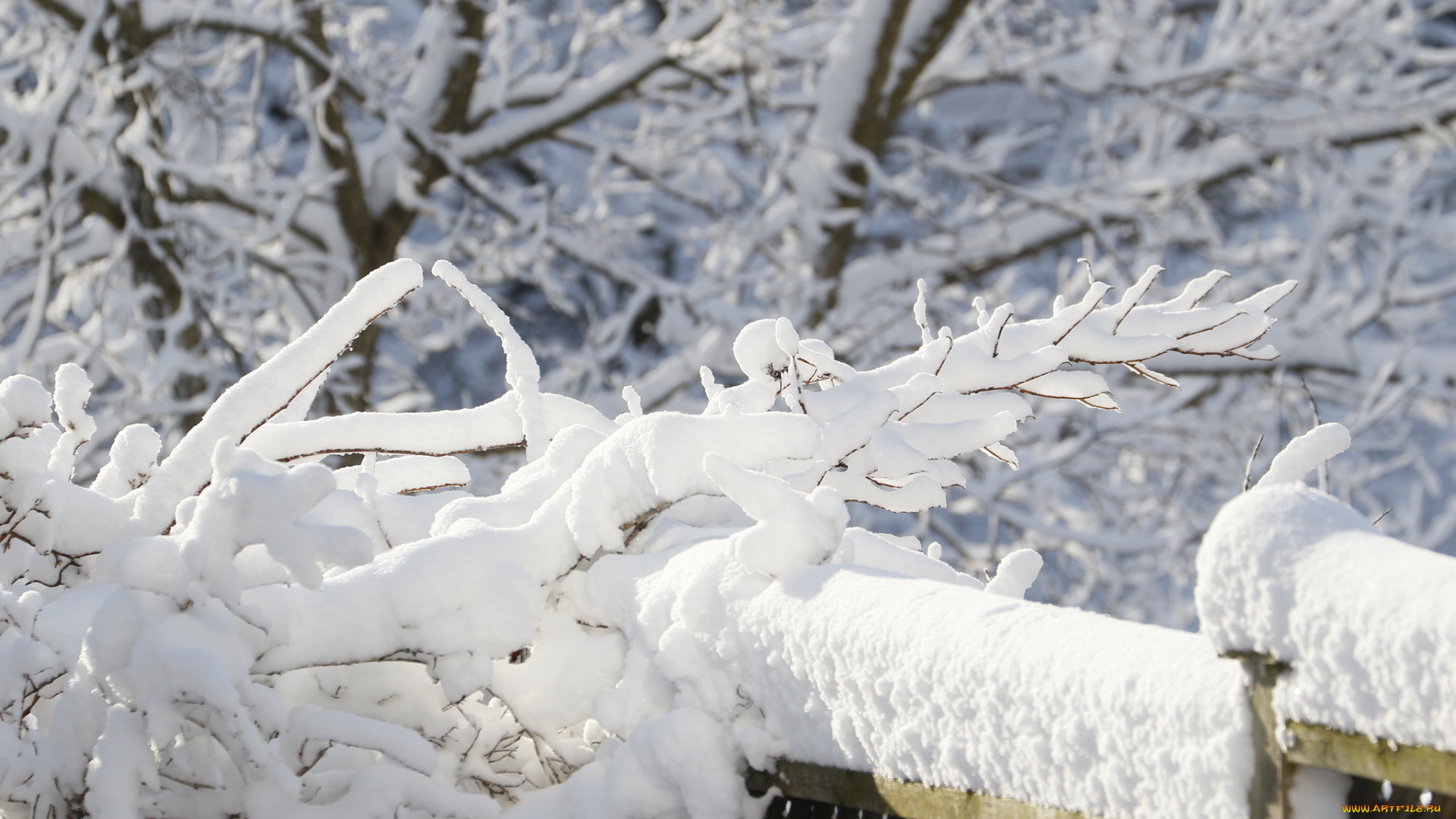 природа, зима, снег