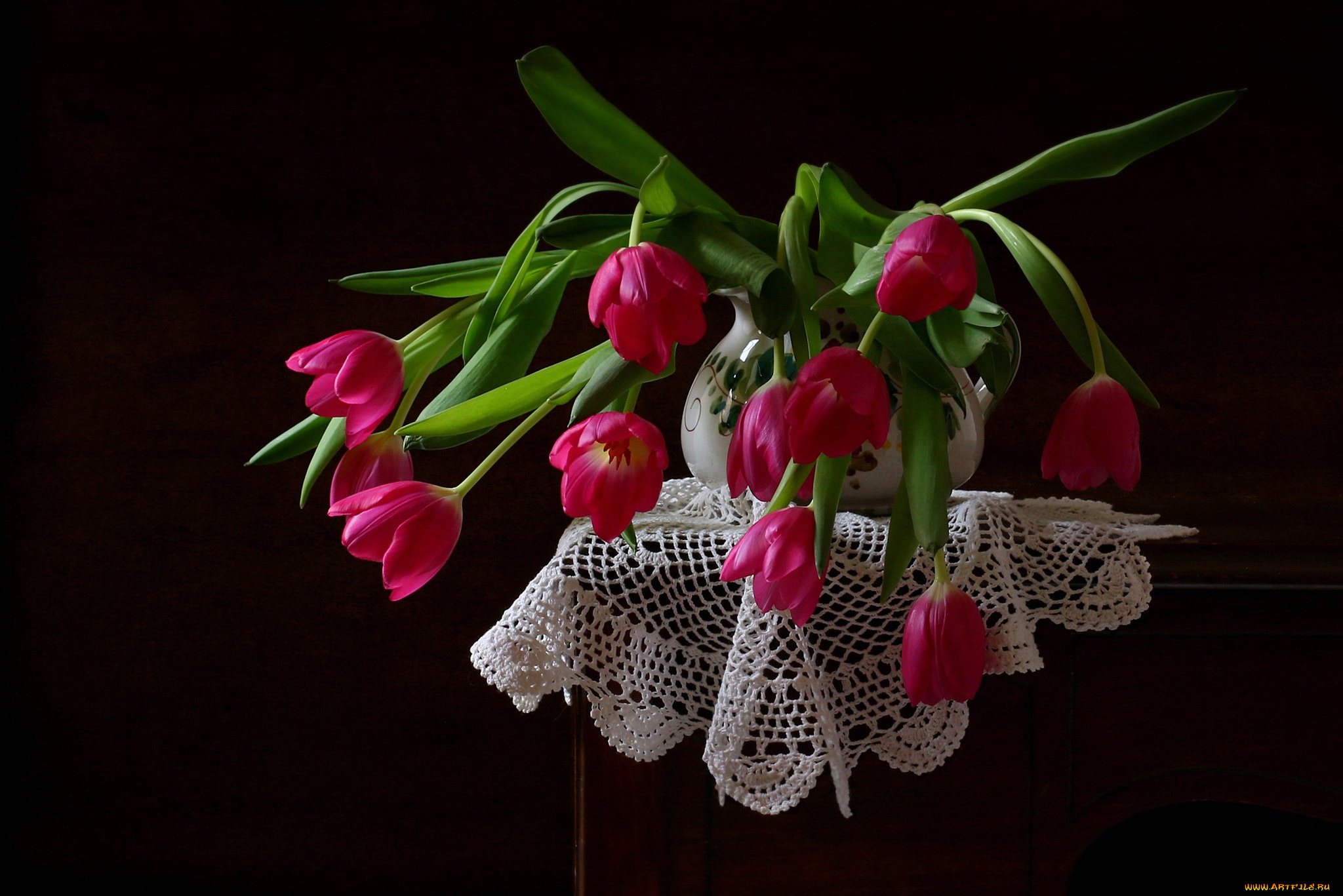 цветы, тюльпаны
