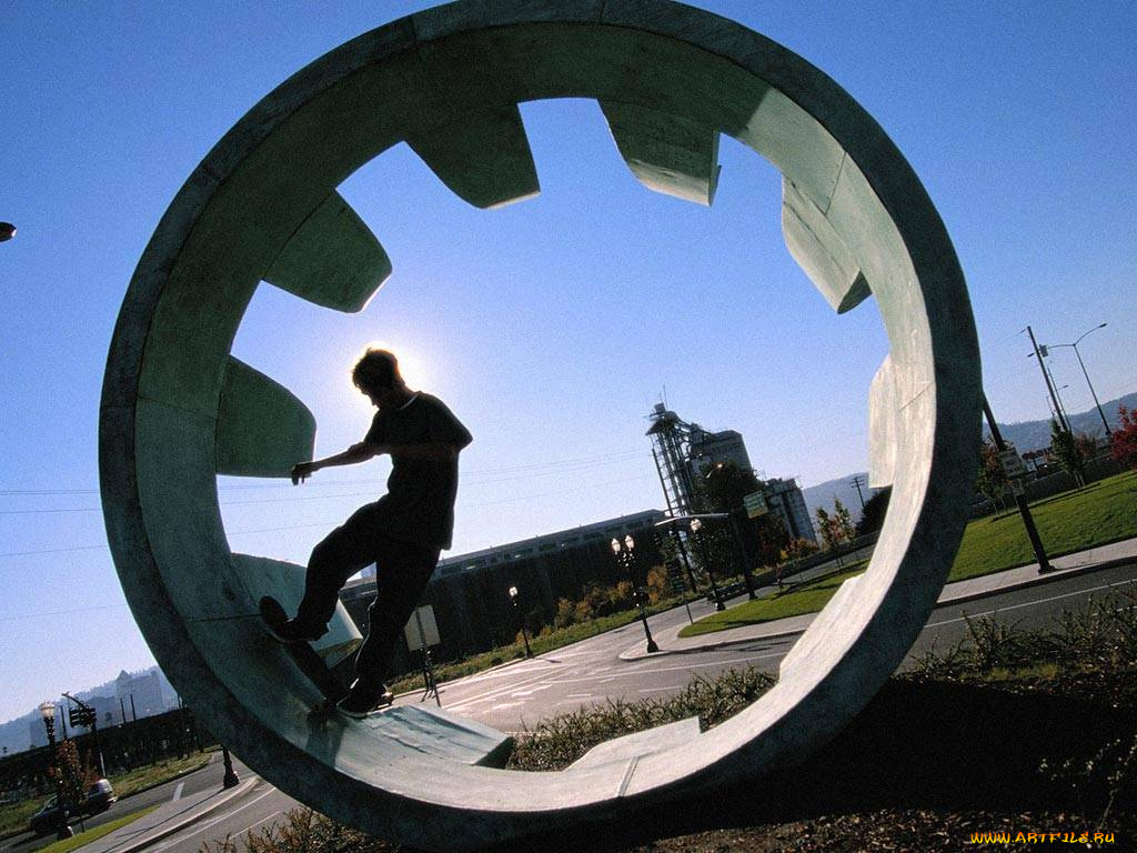 спорт, скейтборд