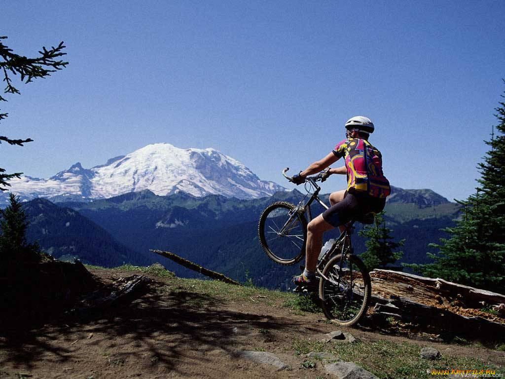 спорт, велоспорт