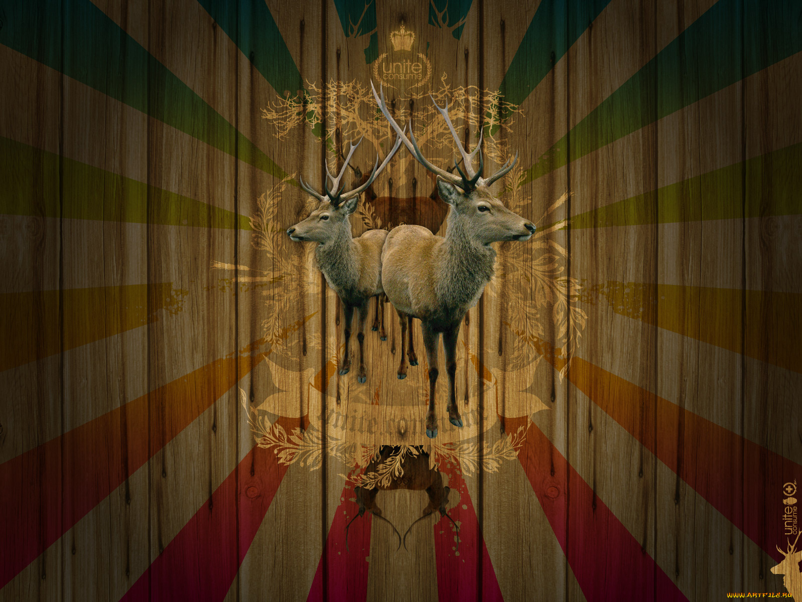 бренды, другое