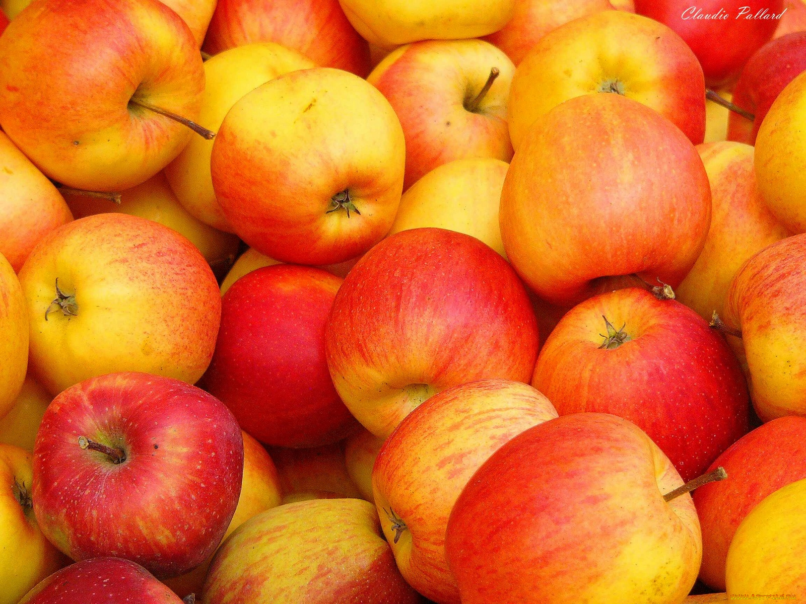 еда, Яблоки