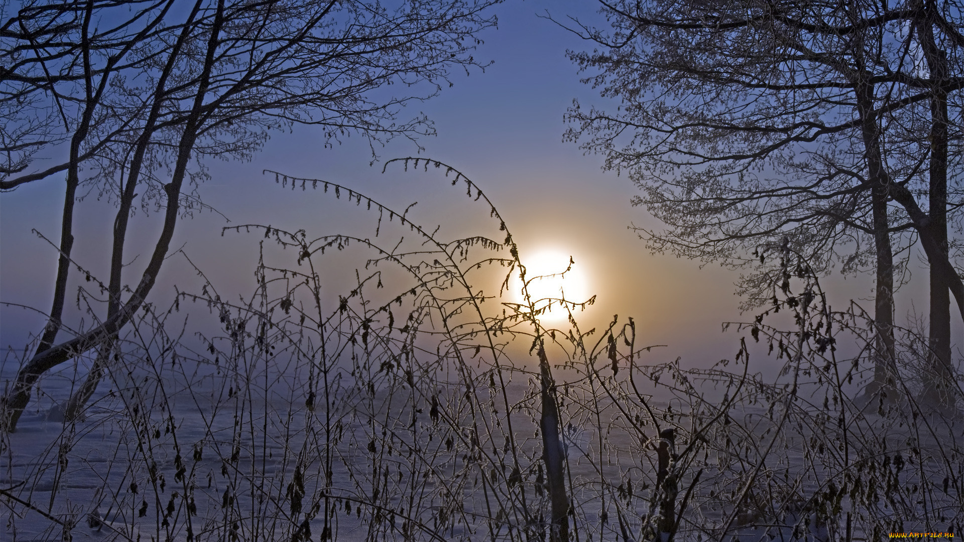 природа, восходы, закаты