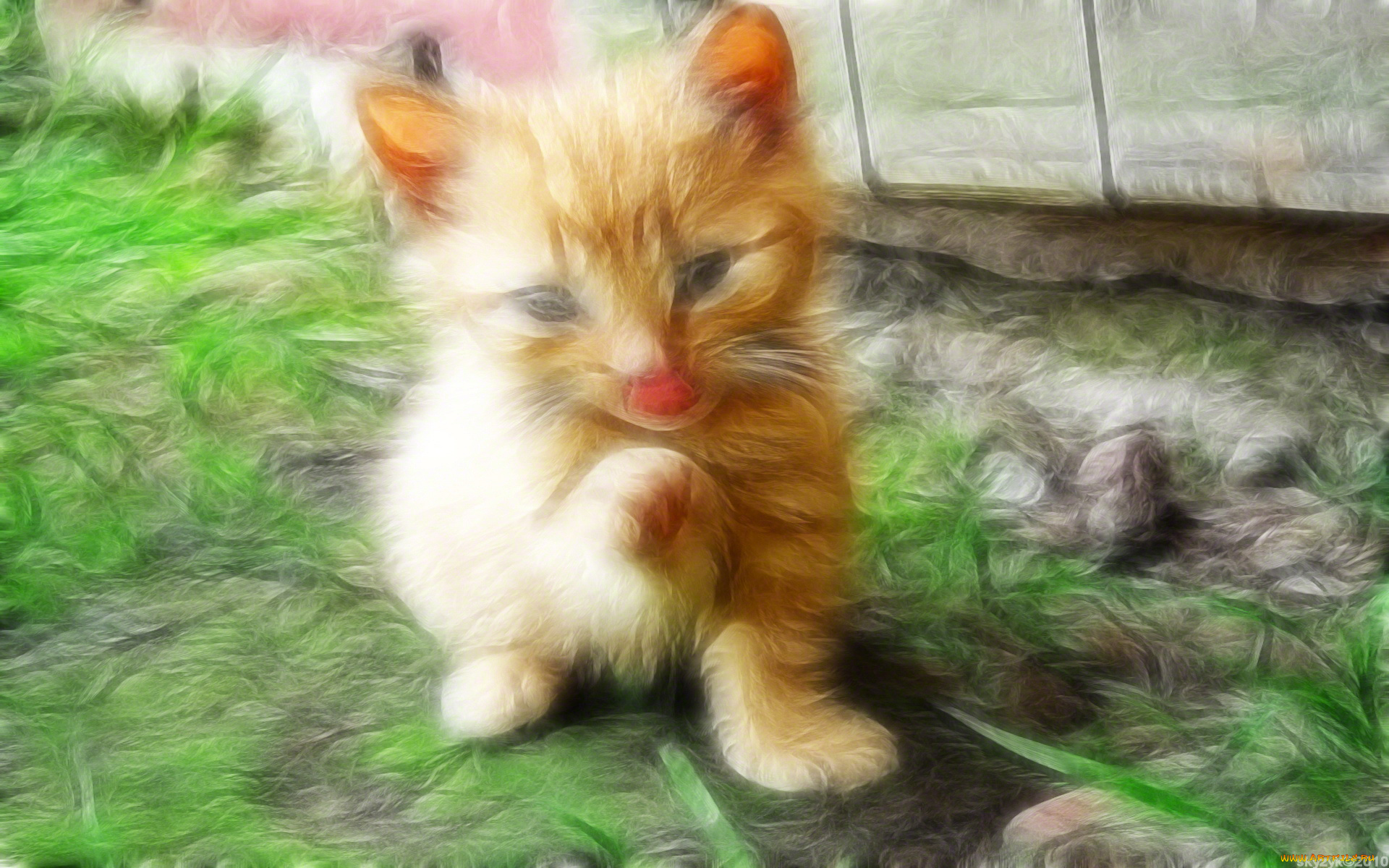 3д, графика, animals, животные, котик