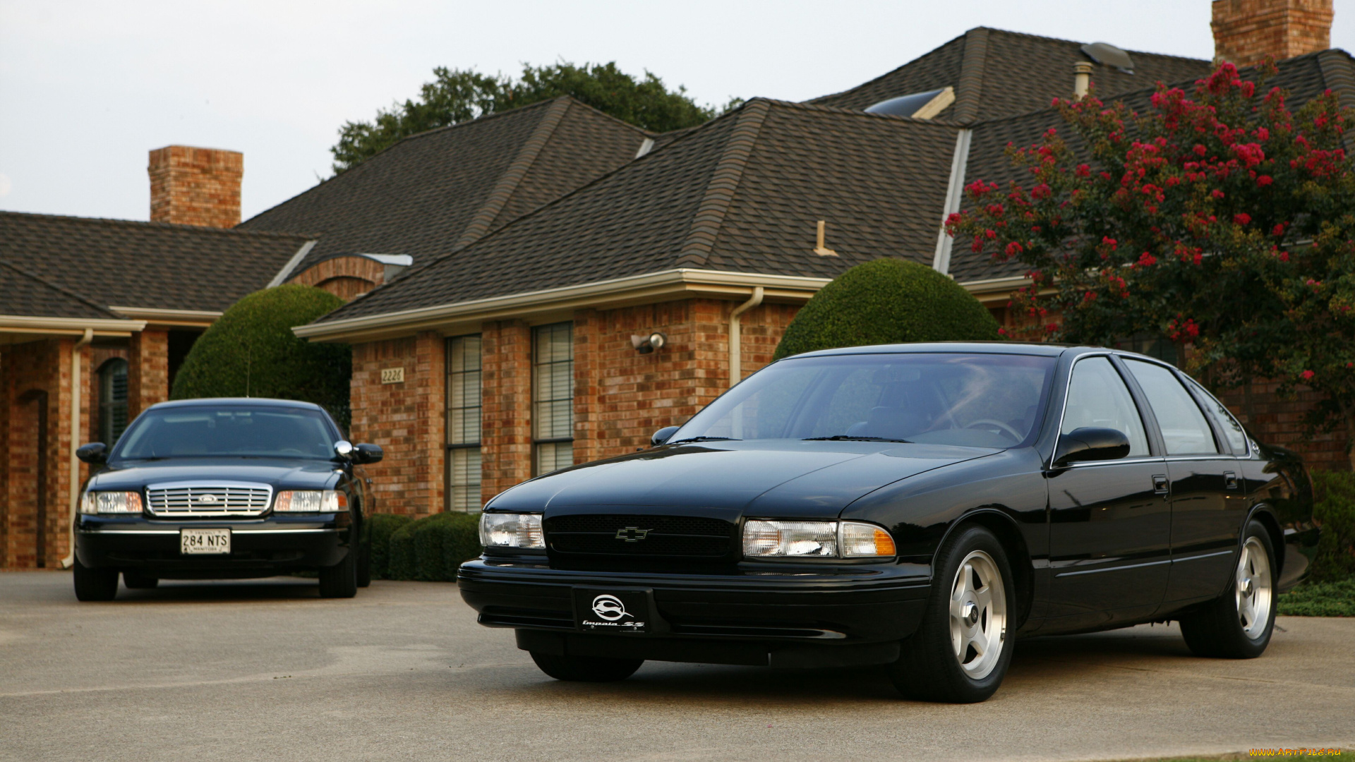 автомобили, разные, вместе, chevy