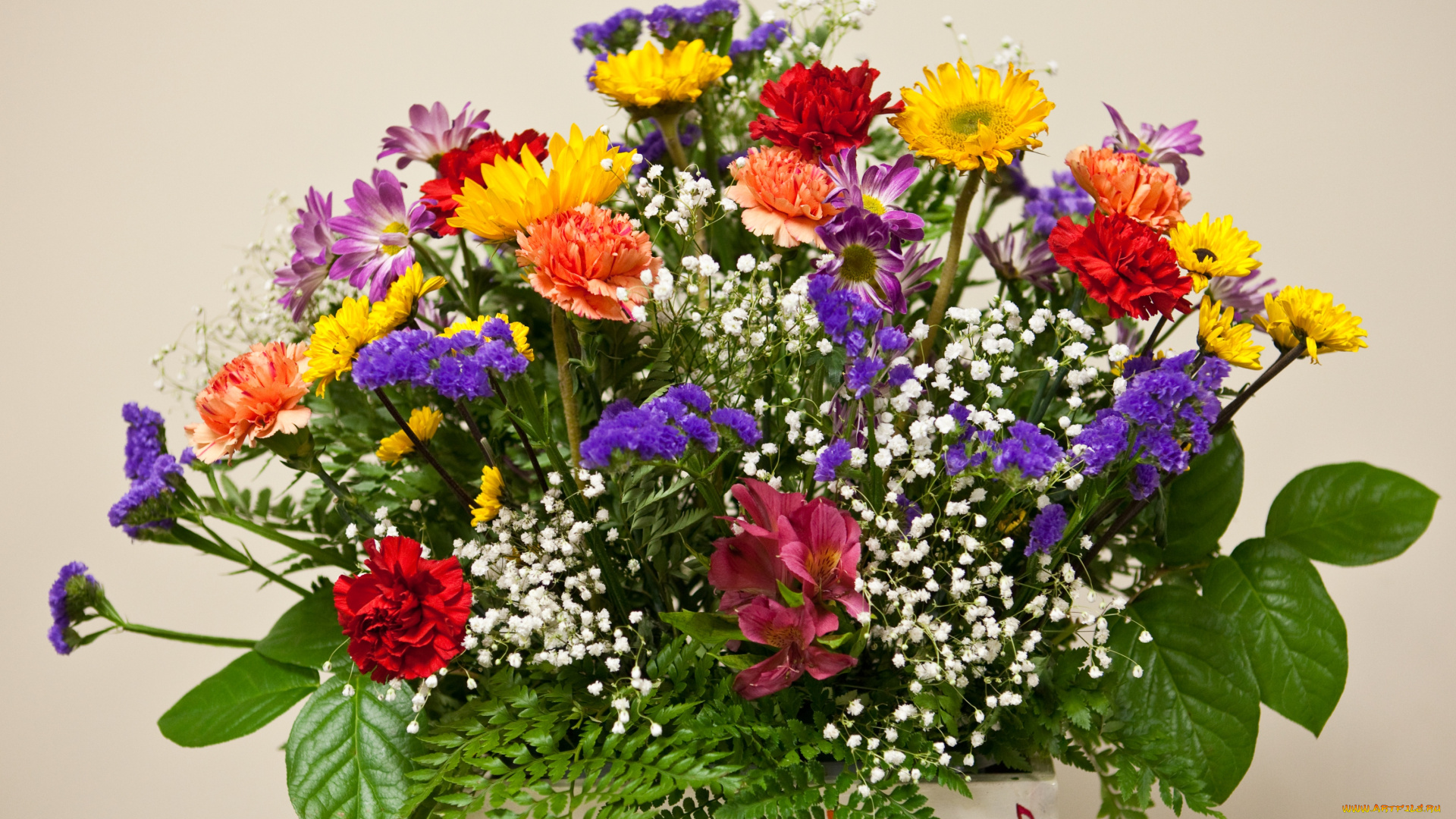 цветы, букеты, композиции, герберы, гипсофила, альстромерии, гвоздики