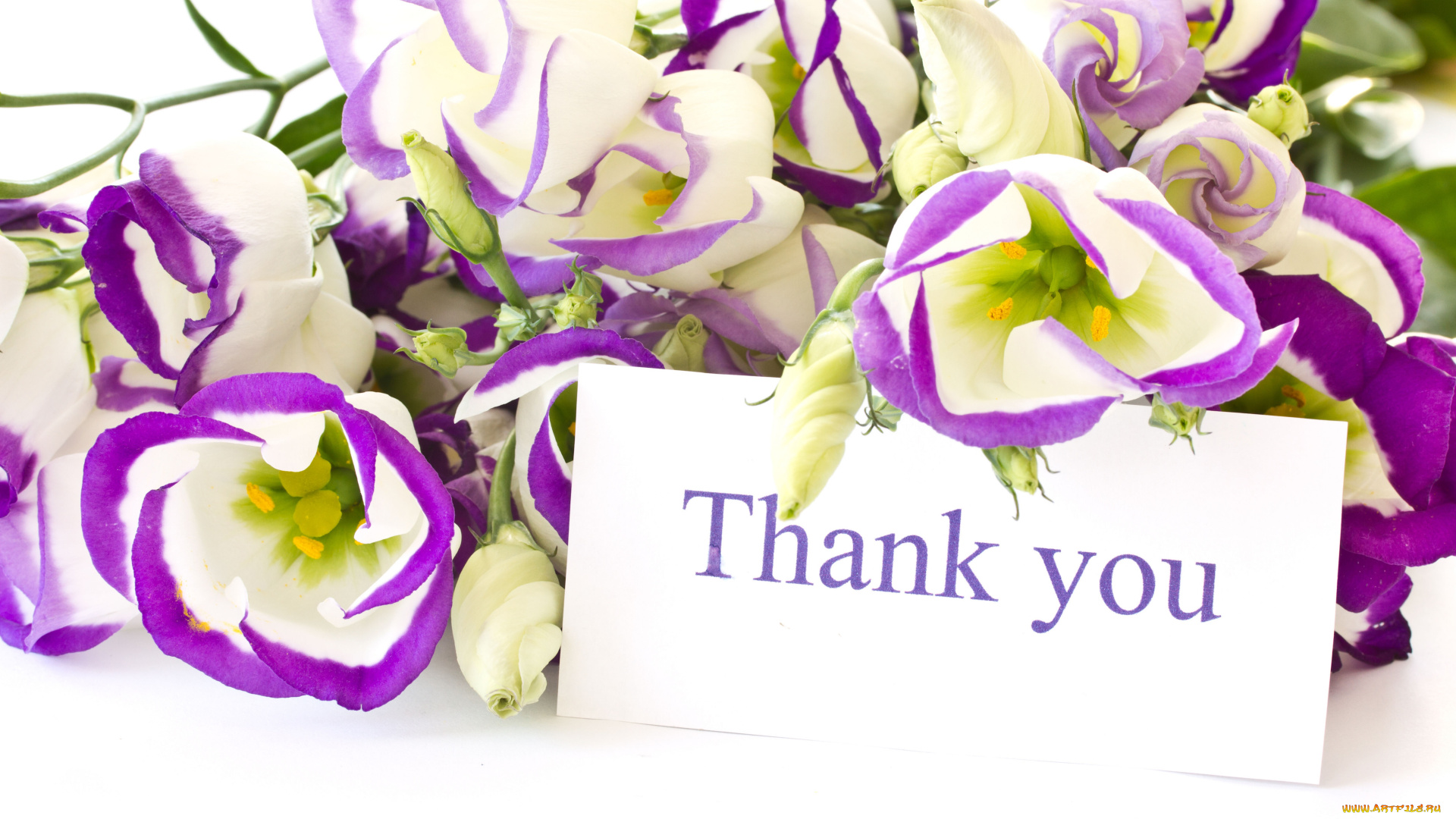 цветы, эустома, записка, благодарность