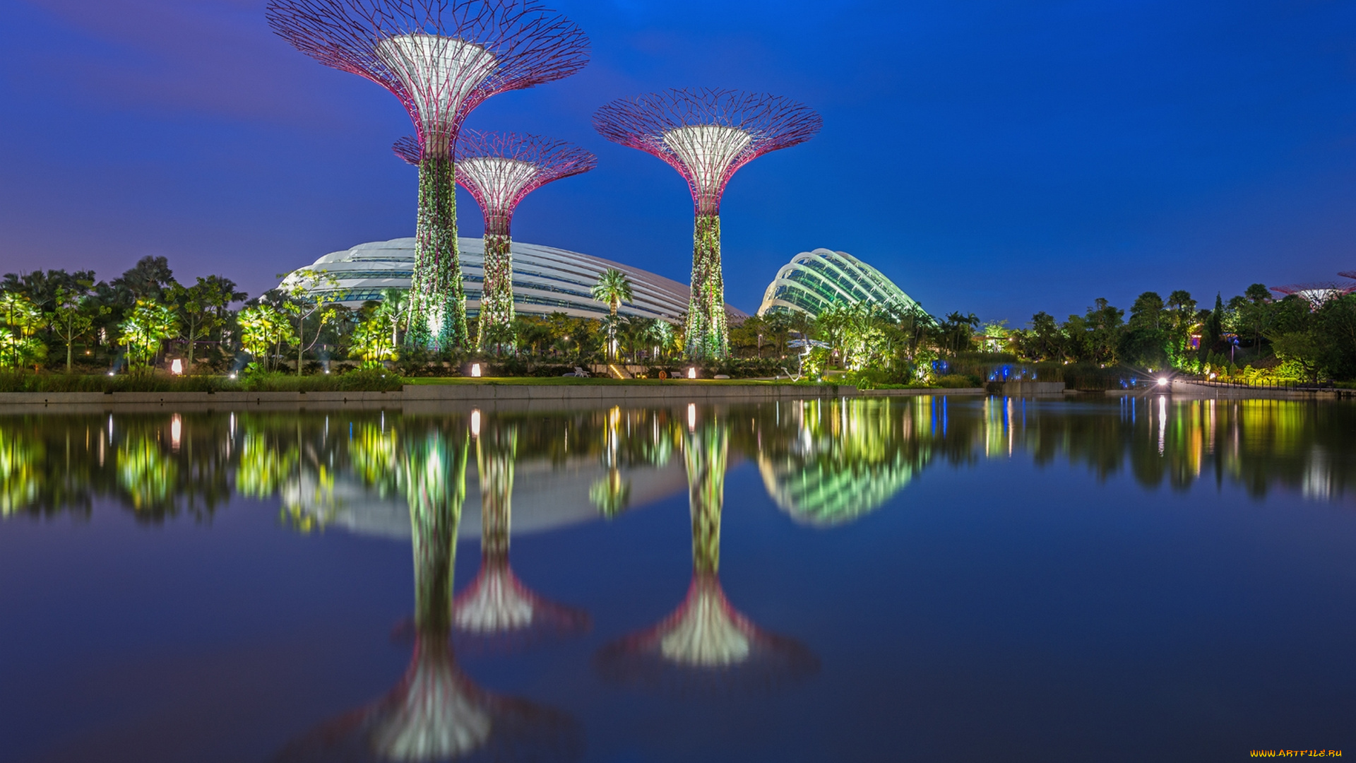 города, сингапур, парк, оригинальность