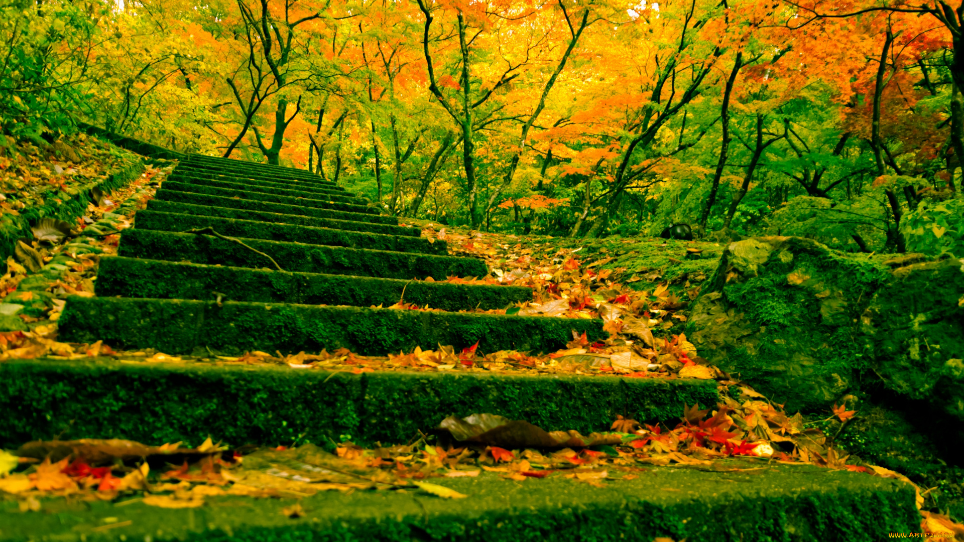 природа, дороги, китай