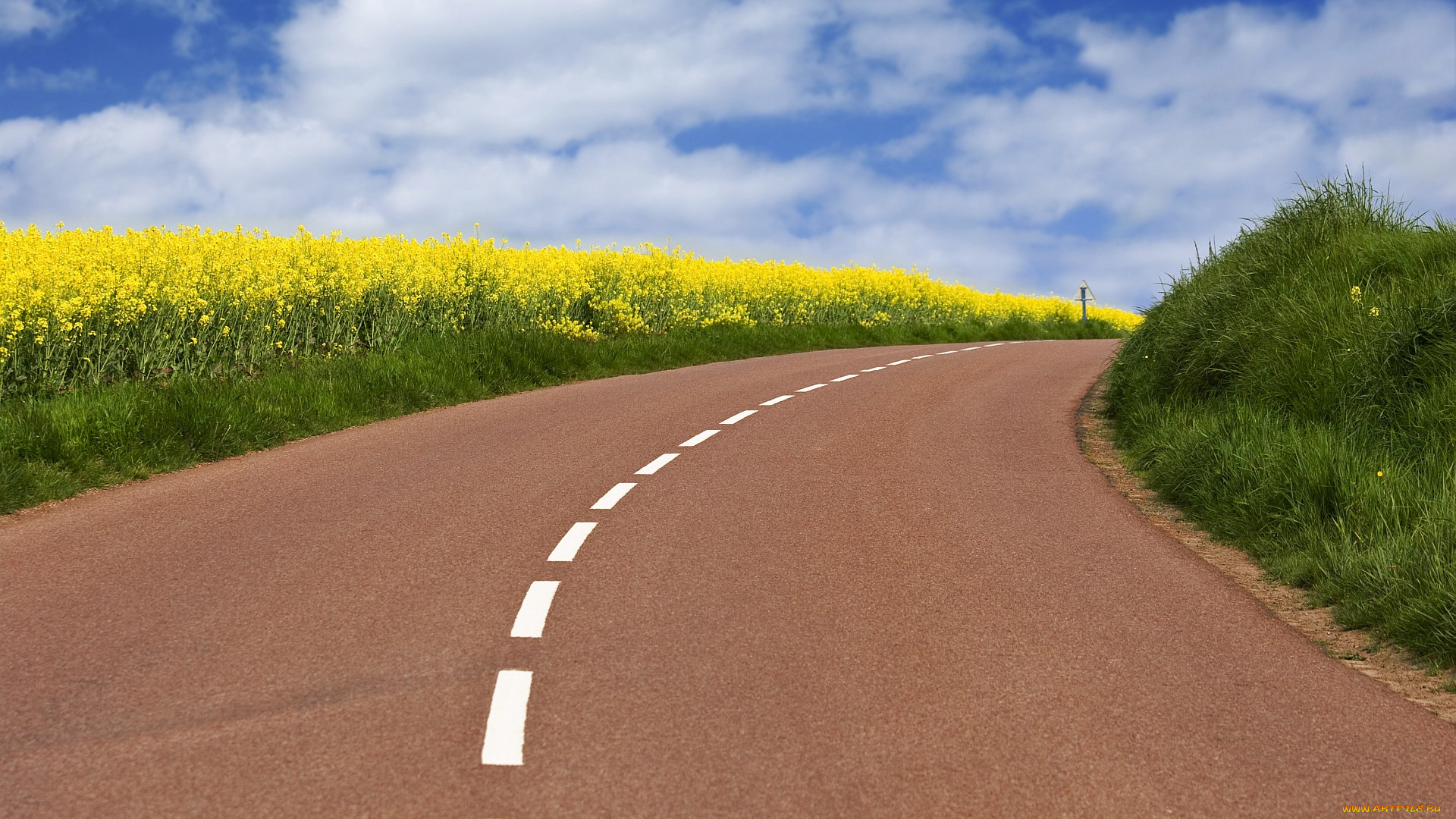 природа, дороги, поле, дорога, разметка