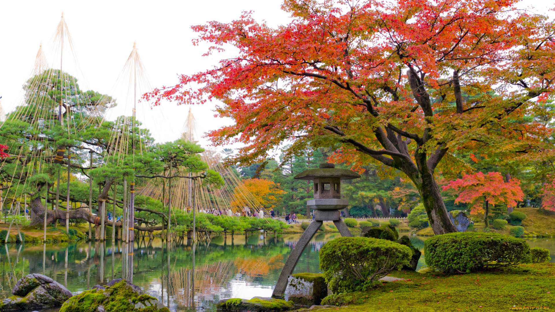 природа, парк, китай