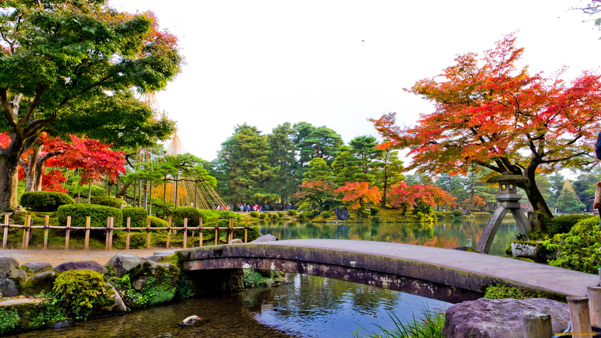 природа, парк, красота