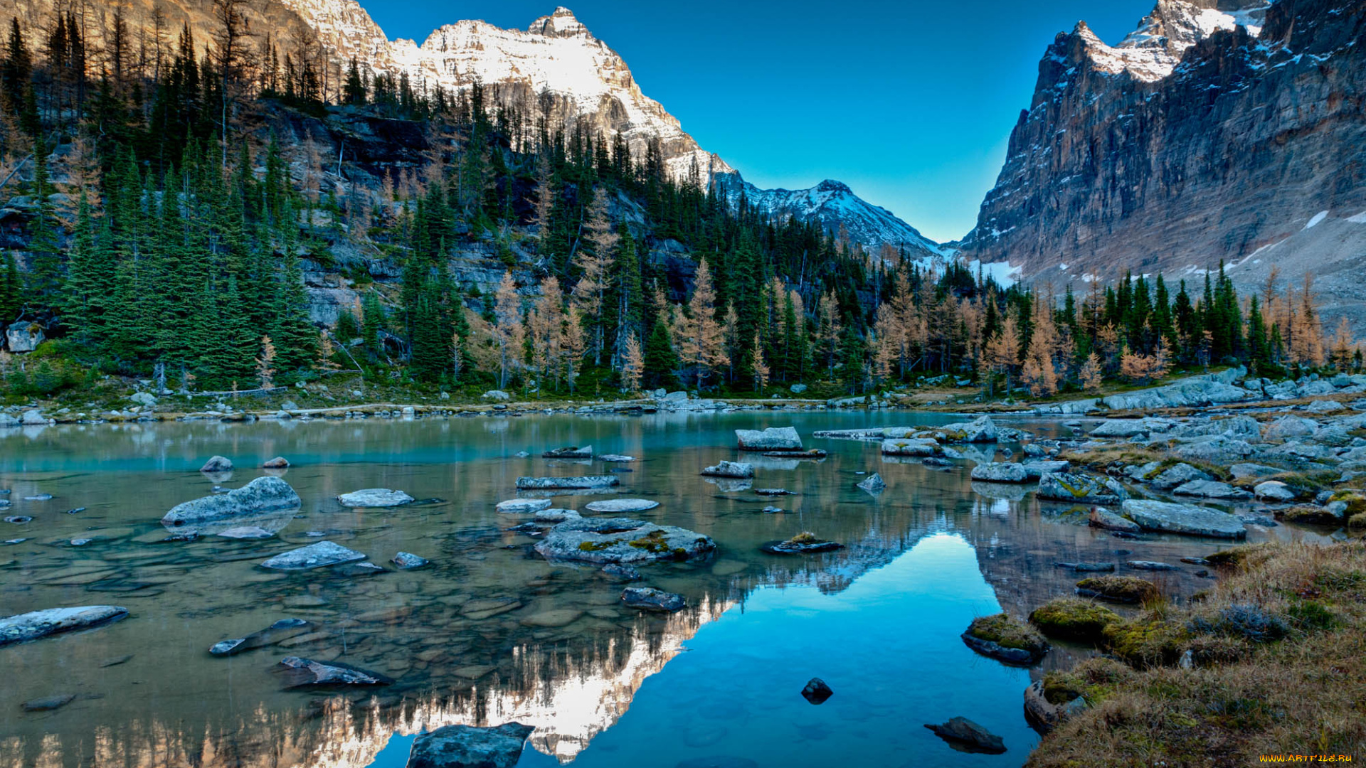 природа, реки, озера, канада, горы, лес, камни, отражение