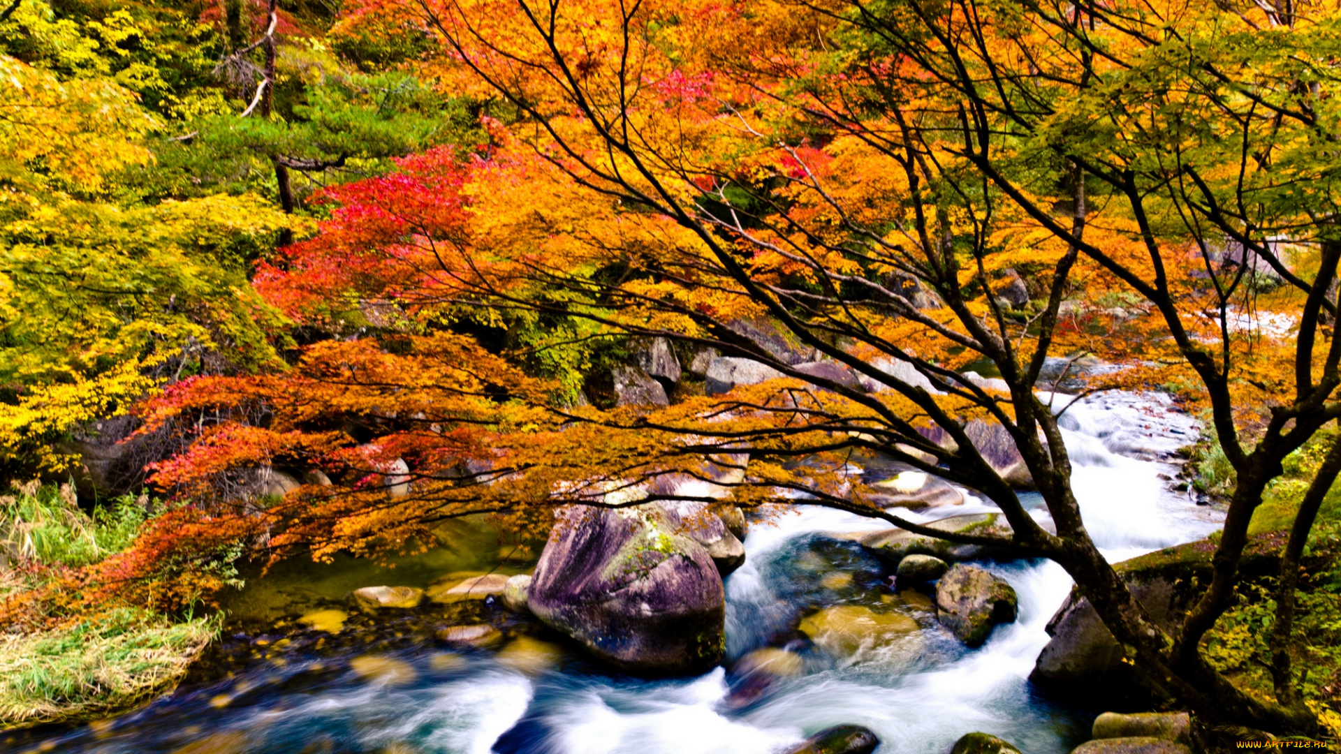 природа, реки, озера, китай