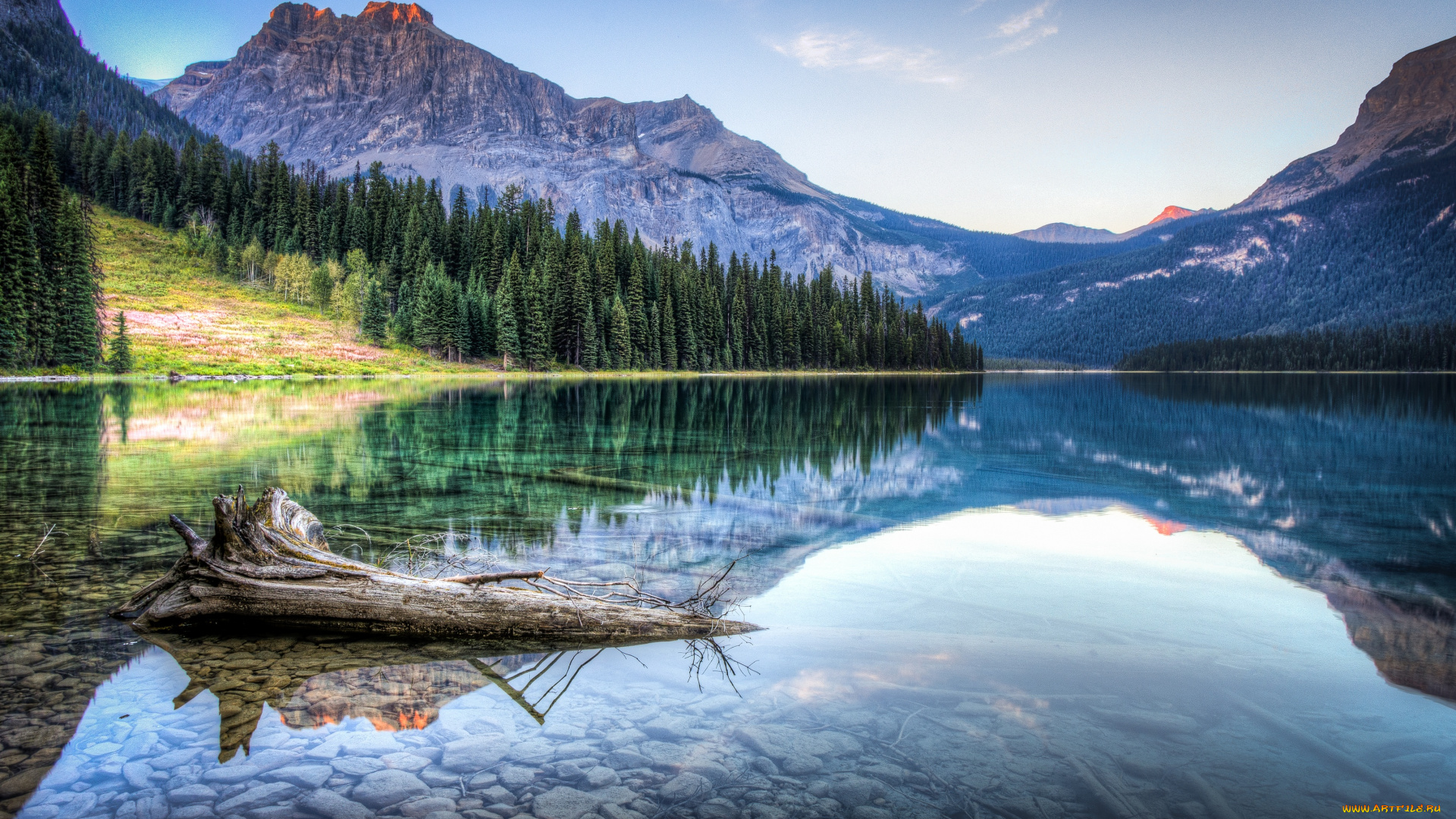 природа, реки, озера, пейзаж, горы, лес, отражение, коряга