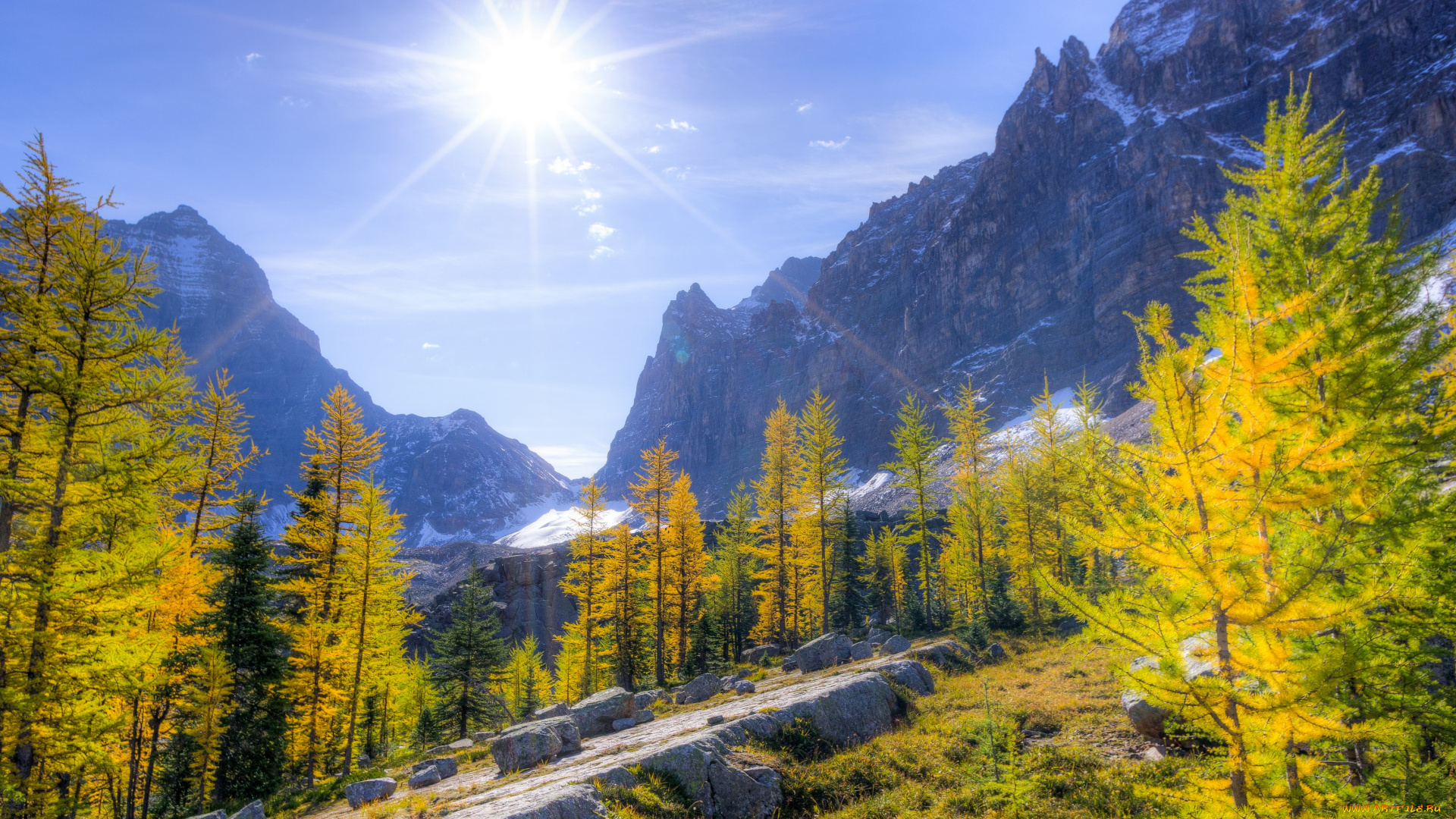 природа, восходы, закаты, солнце, горы, лес, деревья