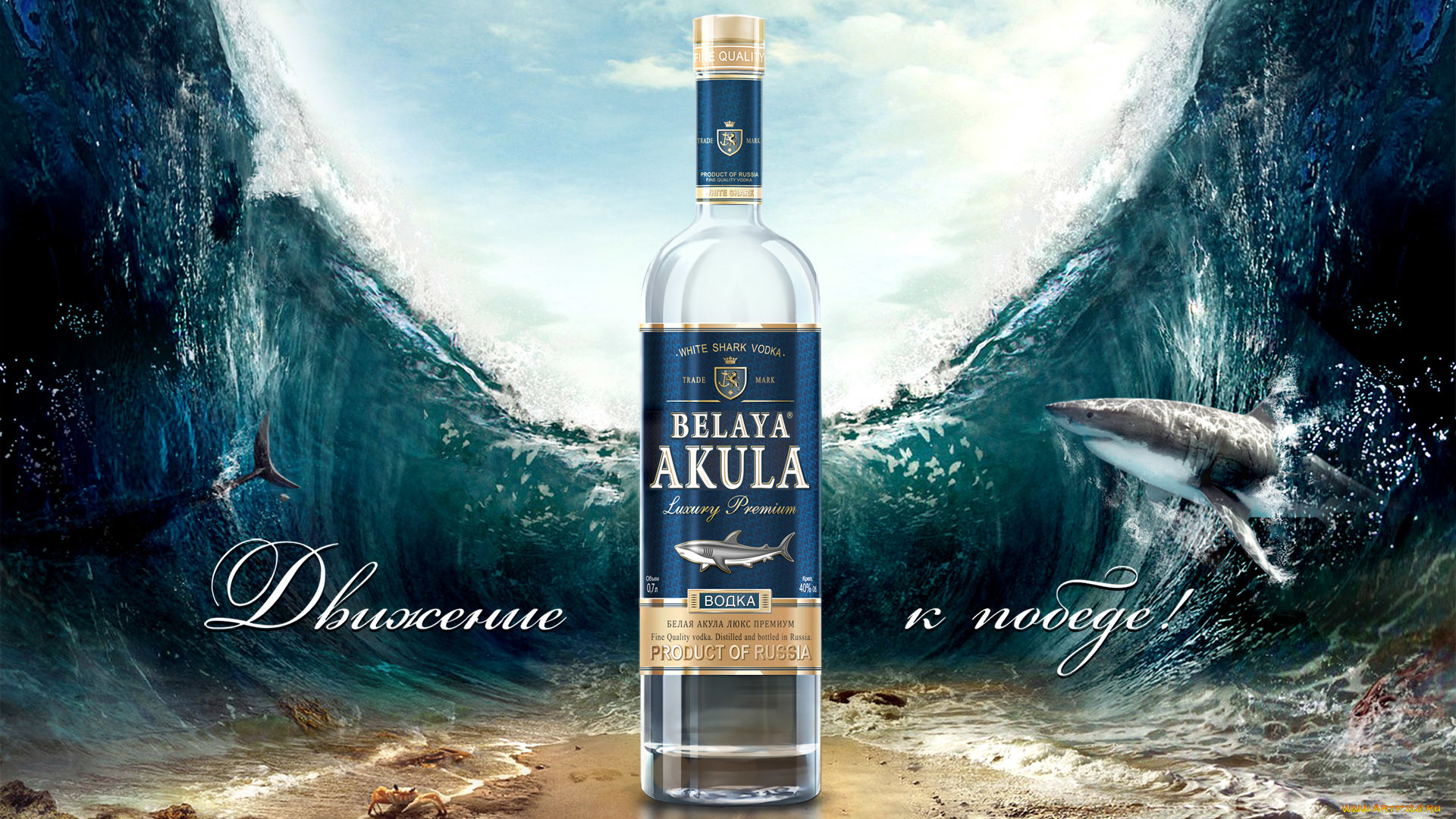водка, белая, акула, бренды, white, shark, vodka, белая, акула