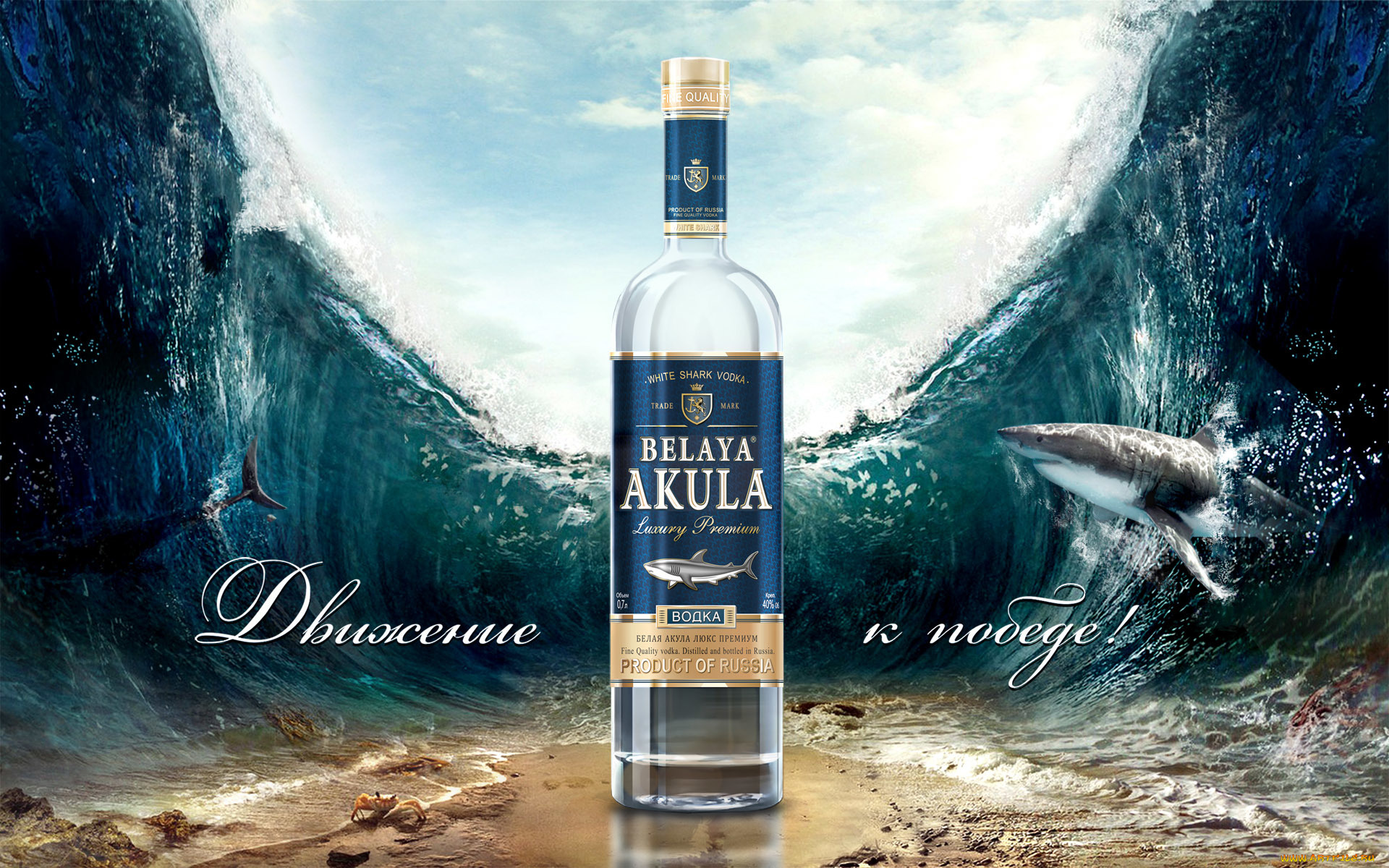 водка, белая, акула, бренды, white, shark, vodka, белая, акула