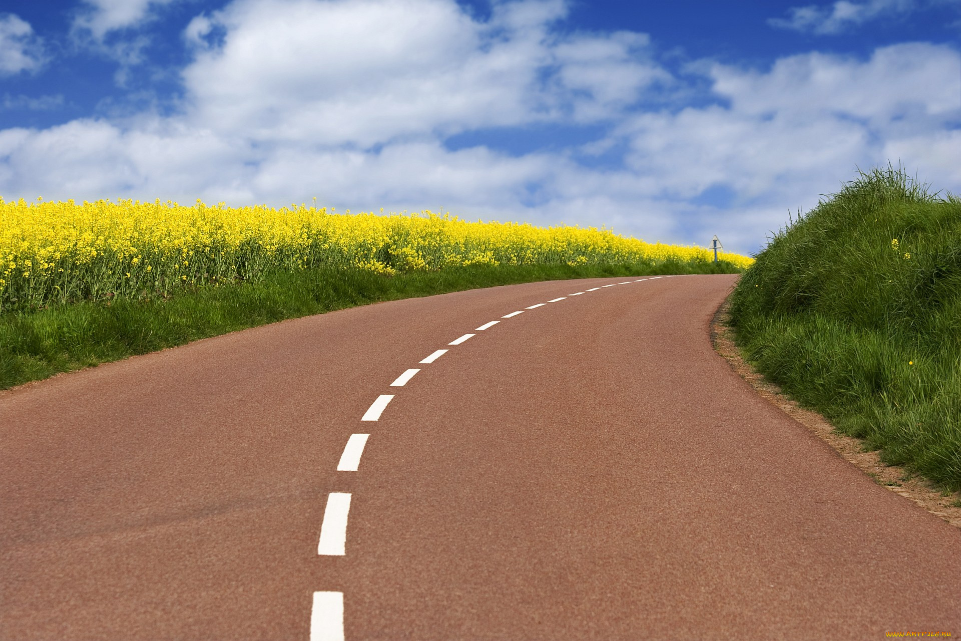 природа, дороги, поле, дорога, разметка