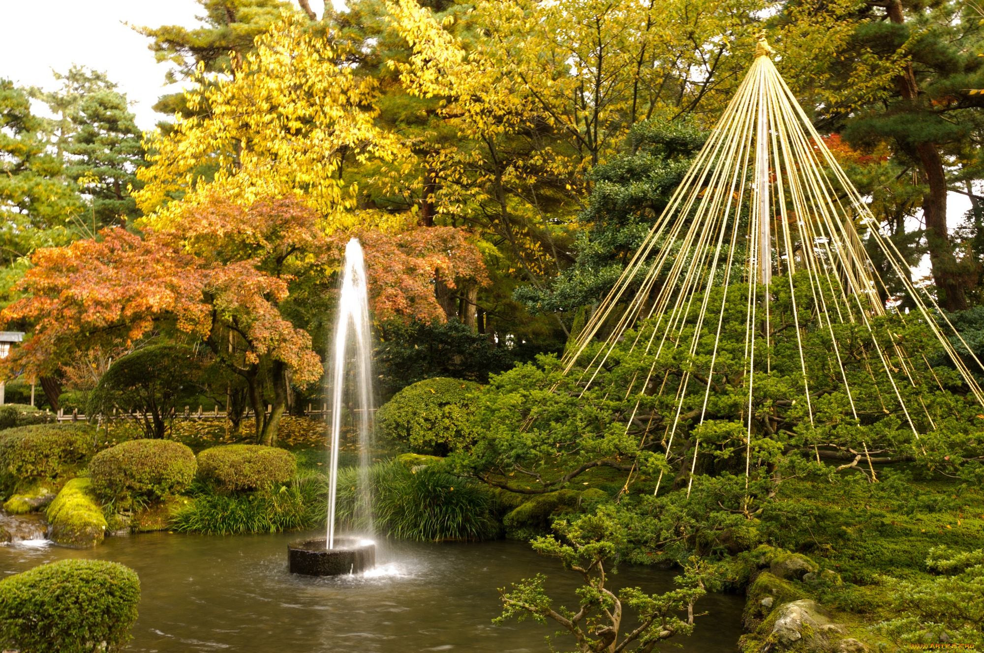 природа, парк, китай