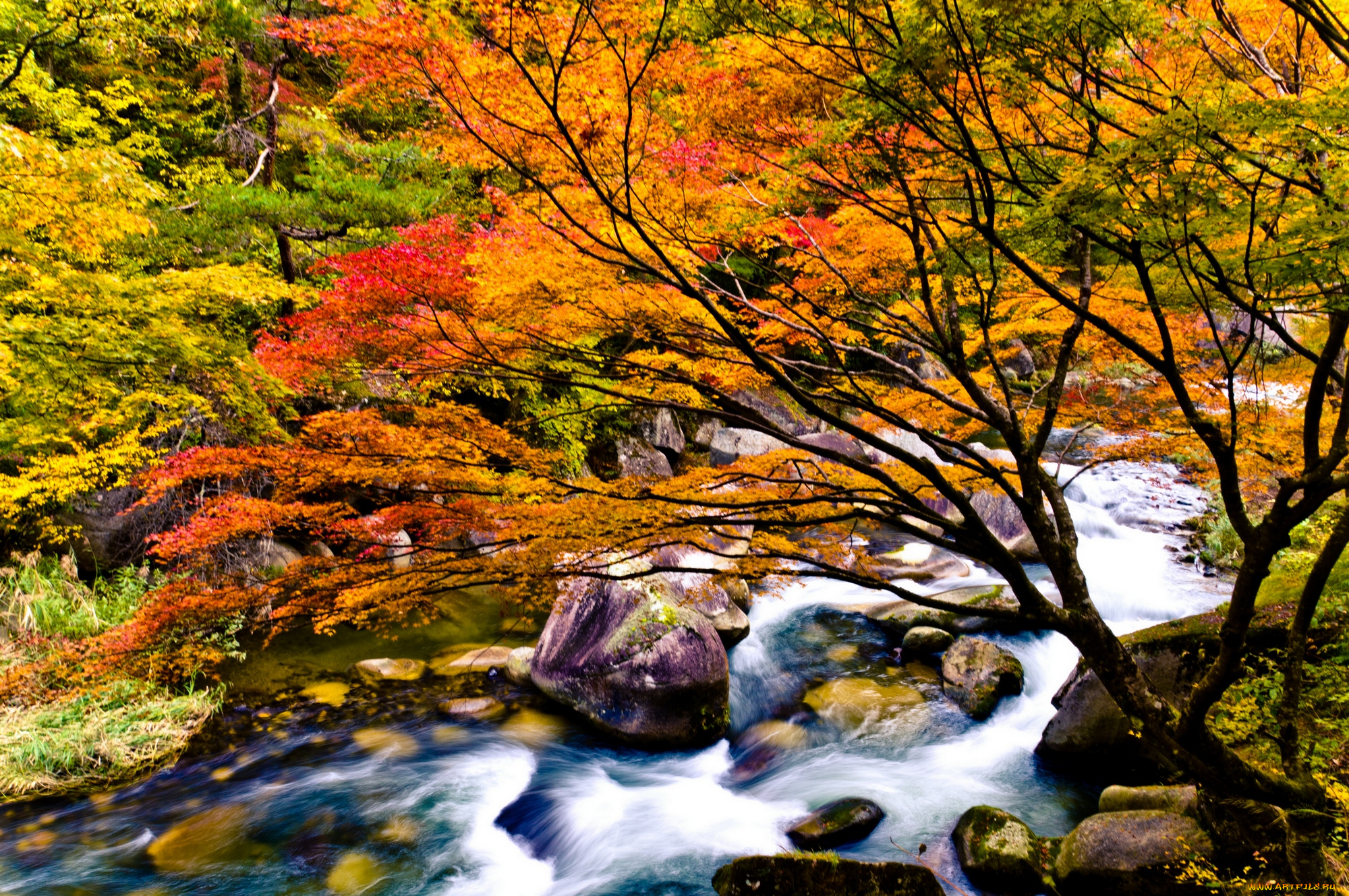 природа, реки, озера, китай