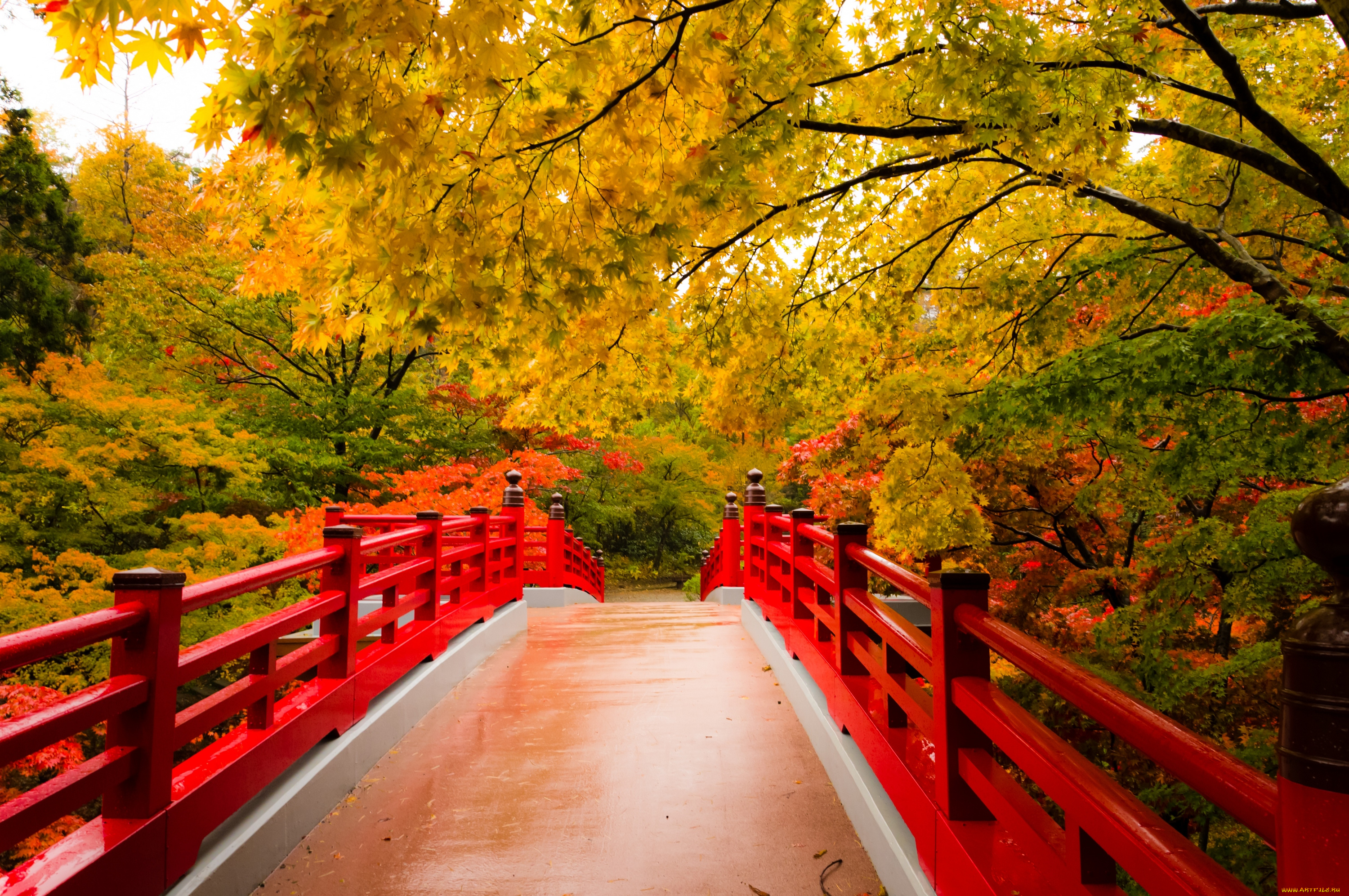 природа, дороги, мостик, китай